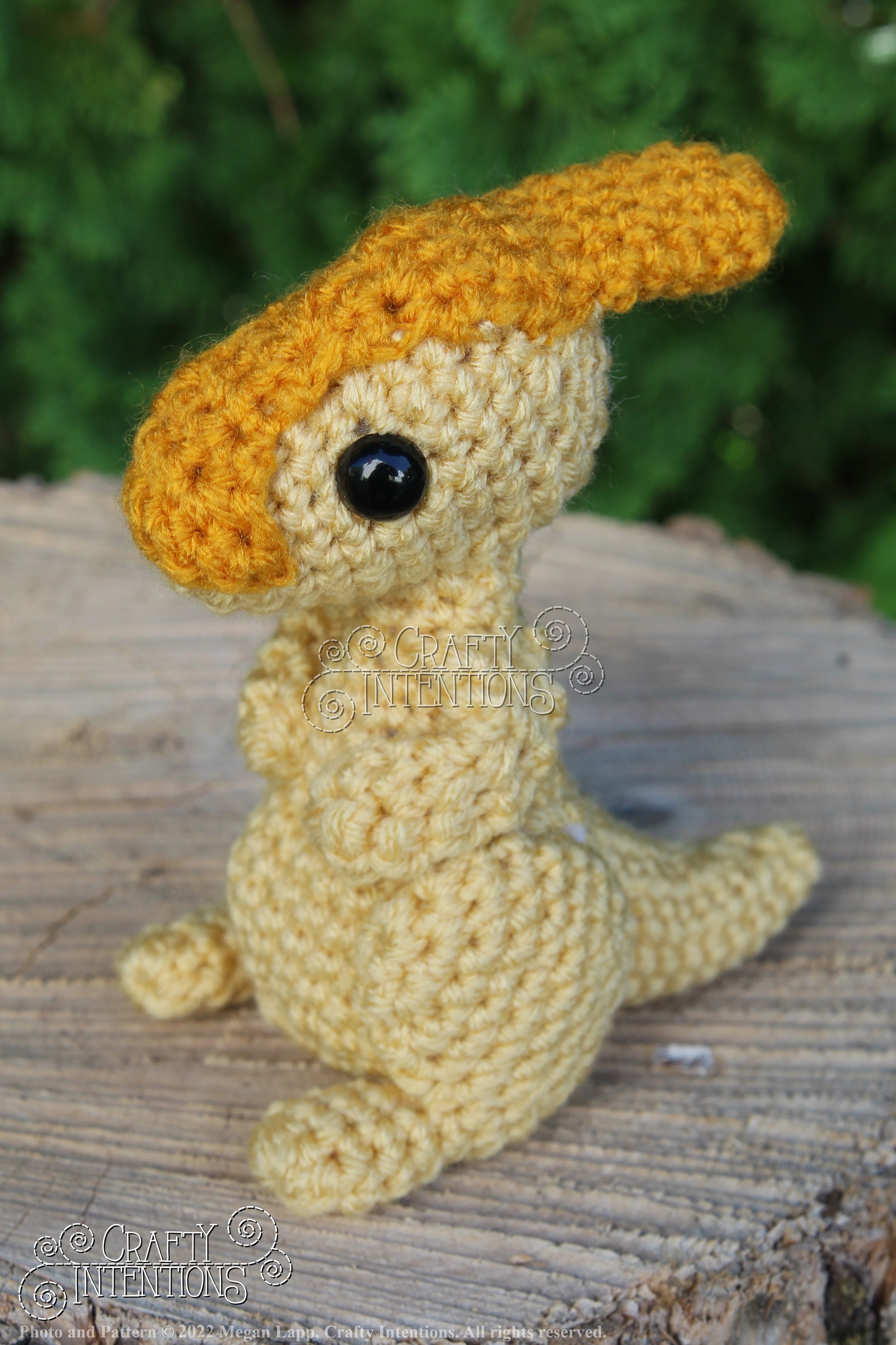 IMG_8238 with logo and copyright.jpg