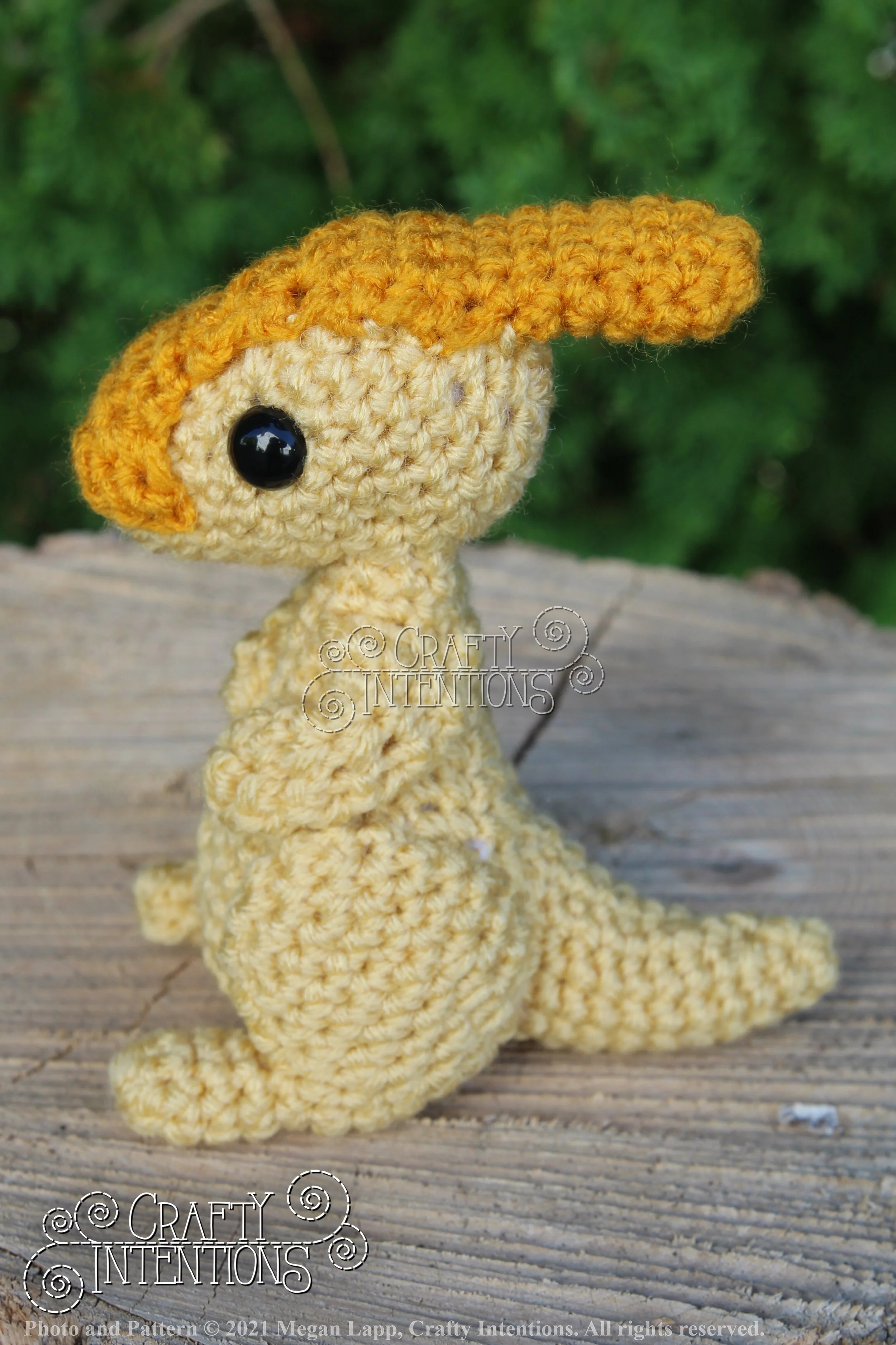 IMG_8241 with logo and copyright.jpg