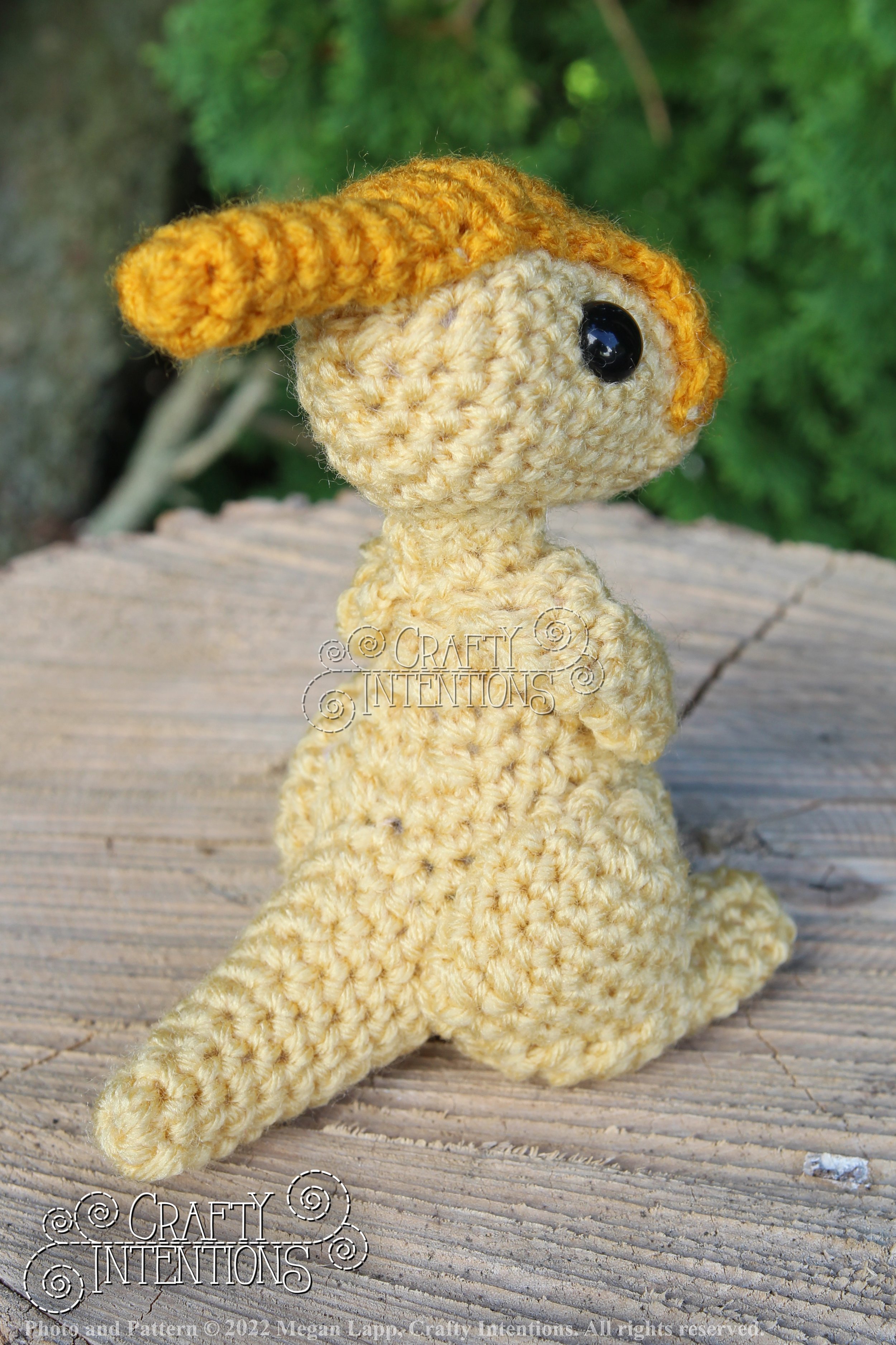 IMG_8244 with logo and copyright.jpg