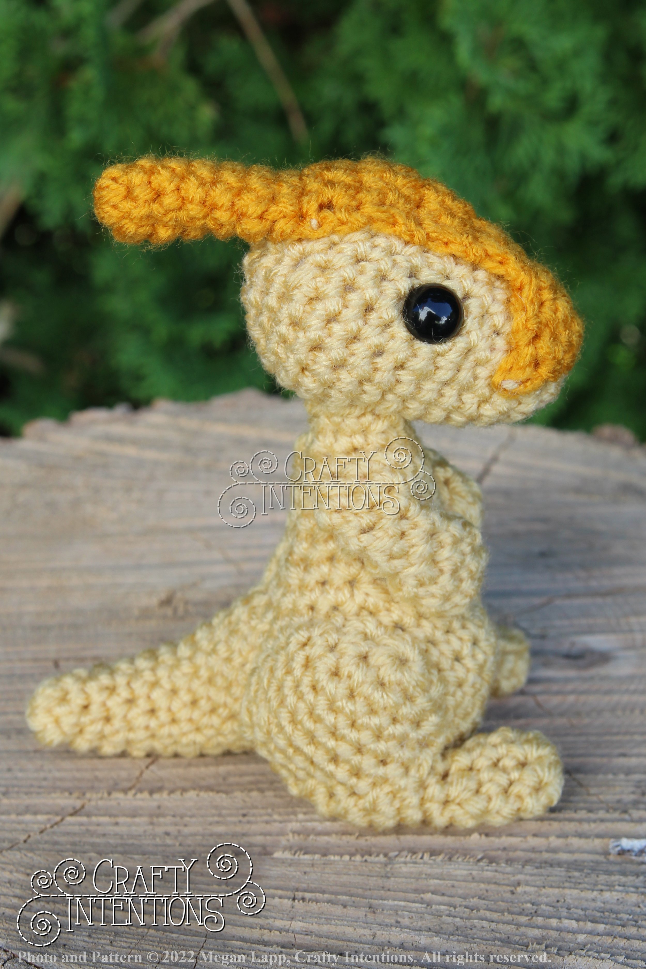 IMG_8247 with logo and copyright.jpg