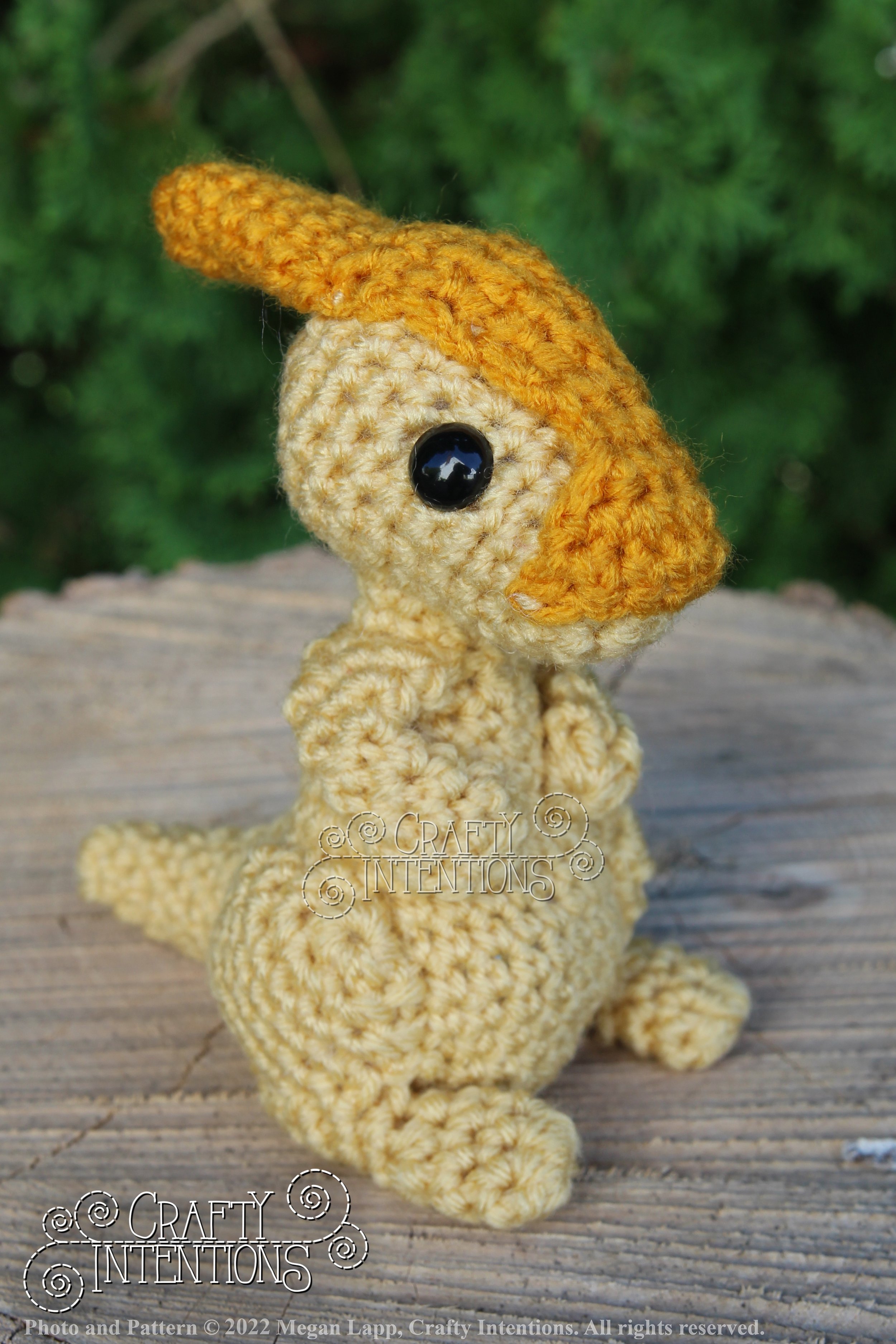 IMG_8251 with logo and copyright.jpg