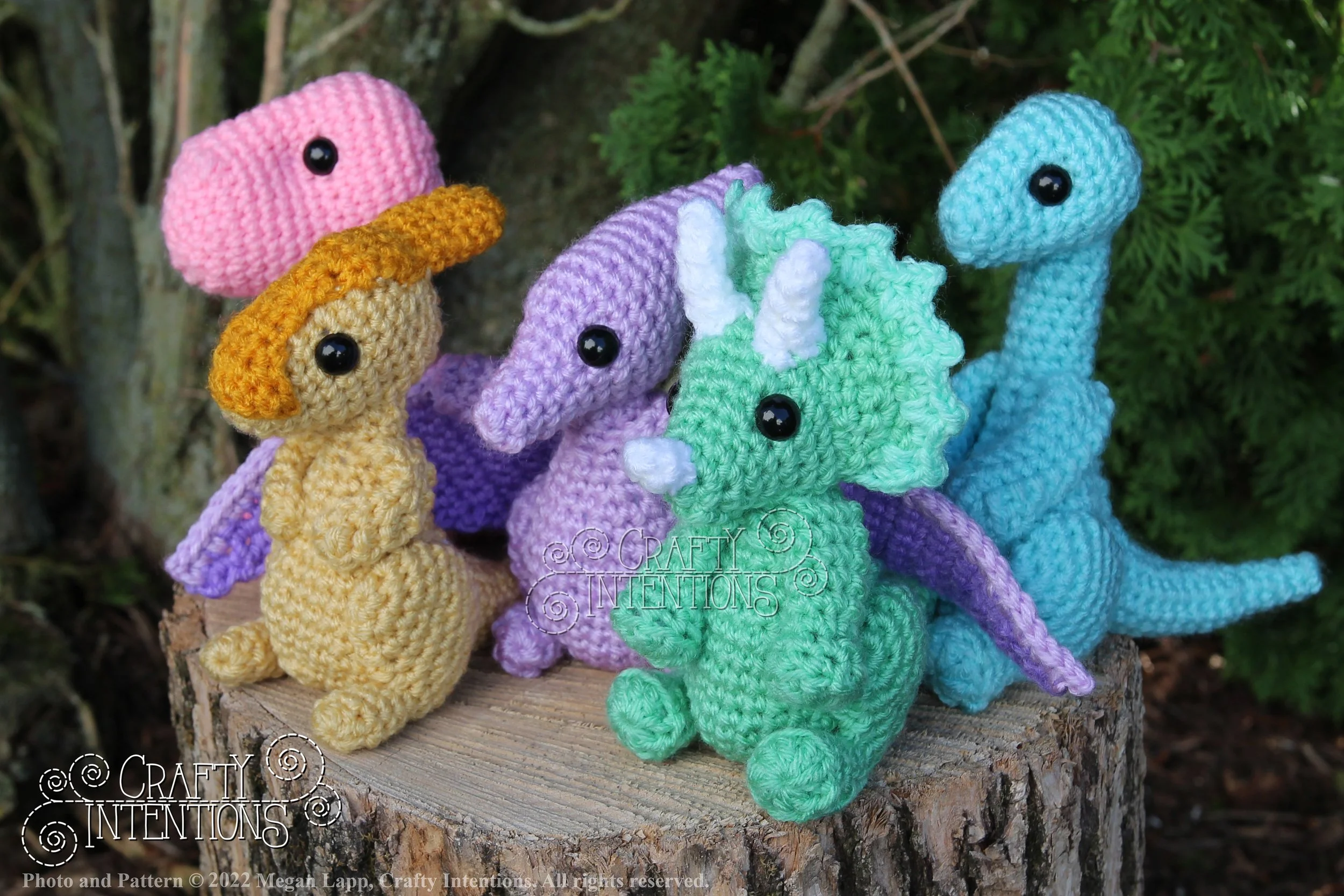 IMG_8261 with logo and copyright.jpg