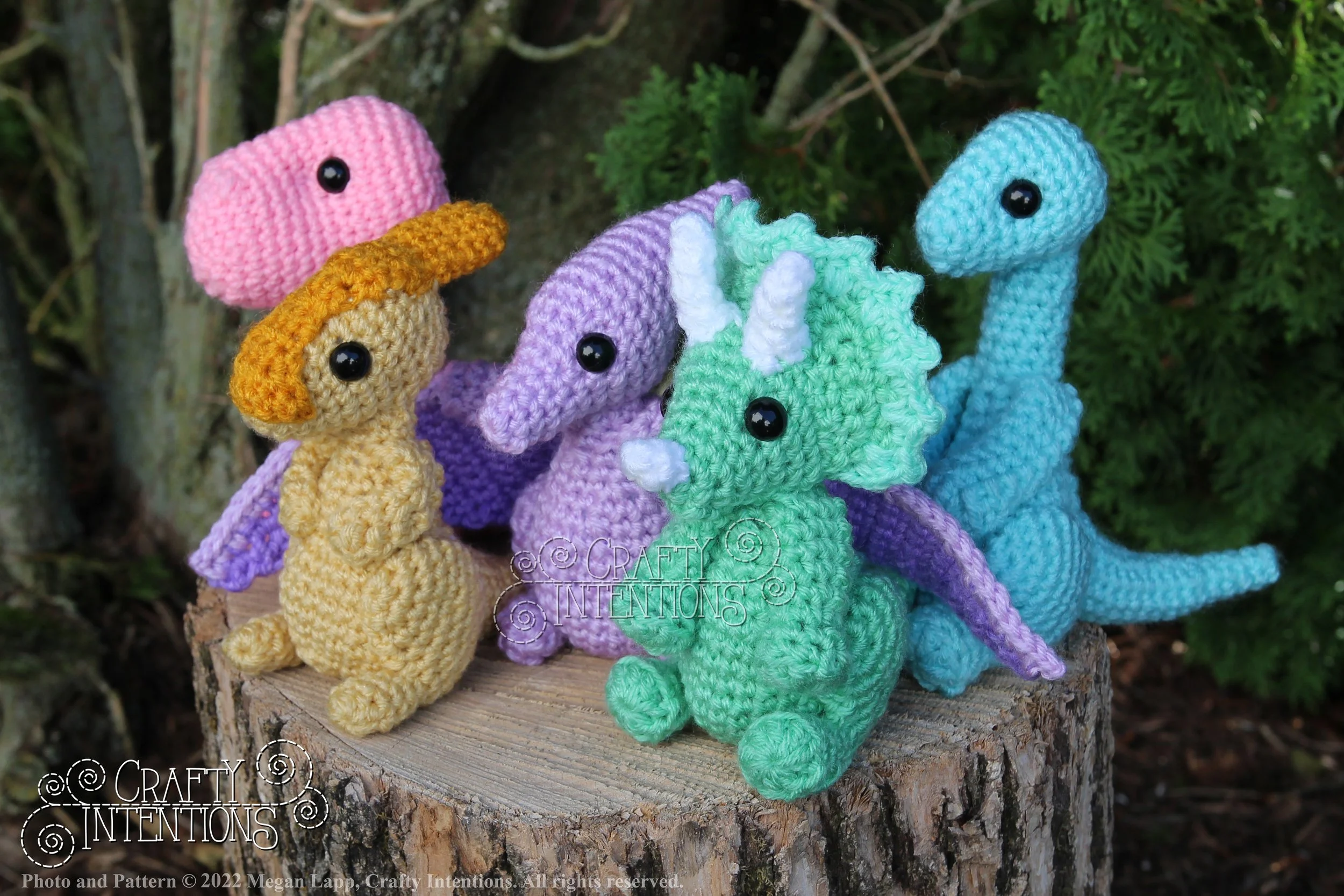 IMG_8264 with logo and copyright.jpg