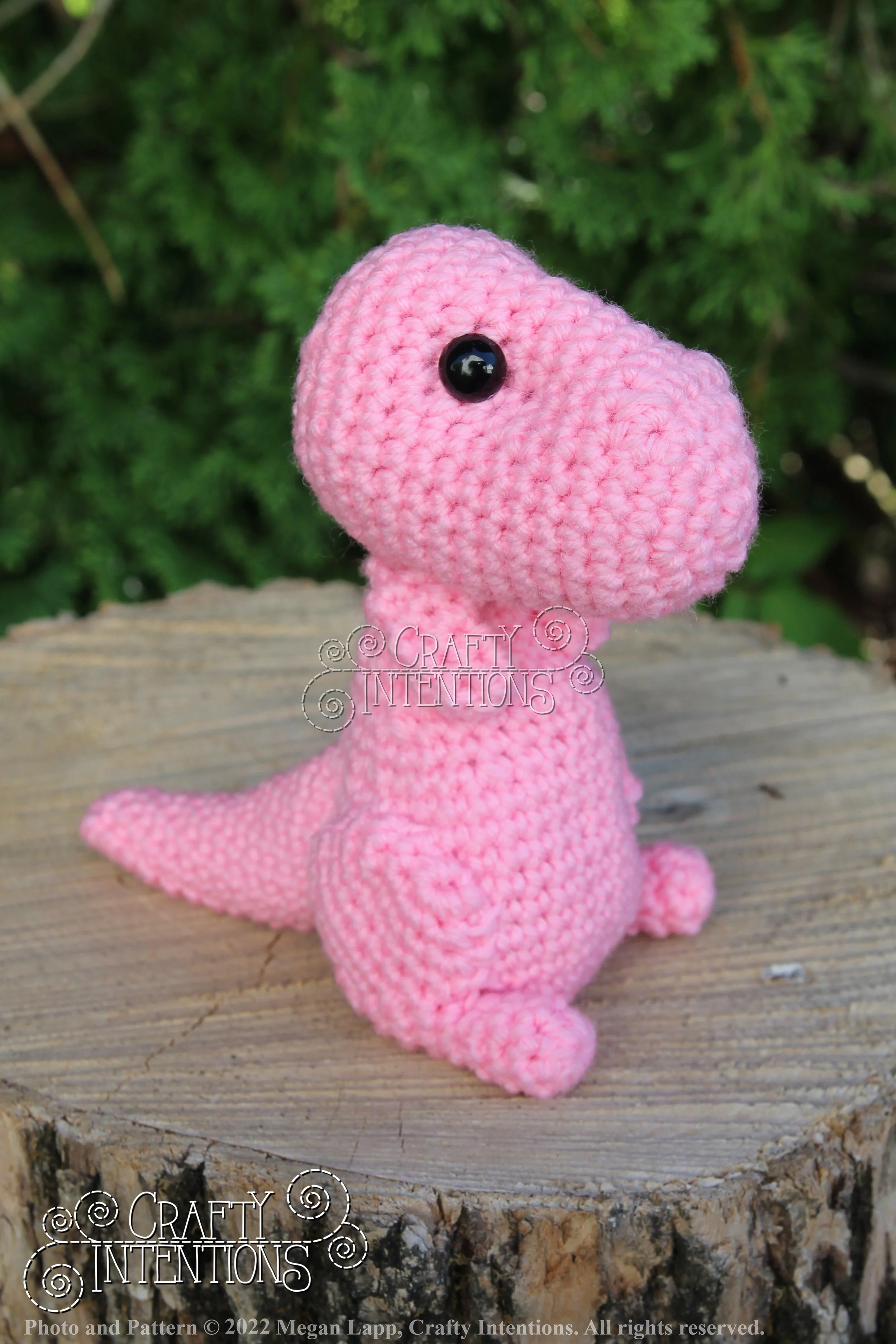 IMG_8285 with logo and copyright.jpg