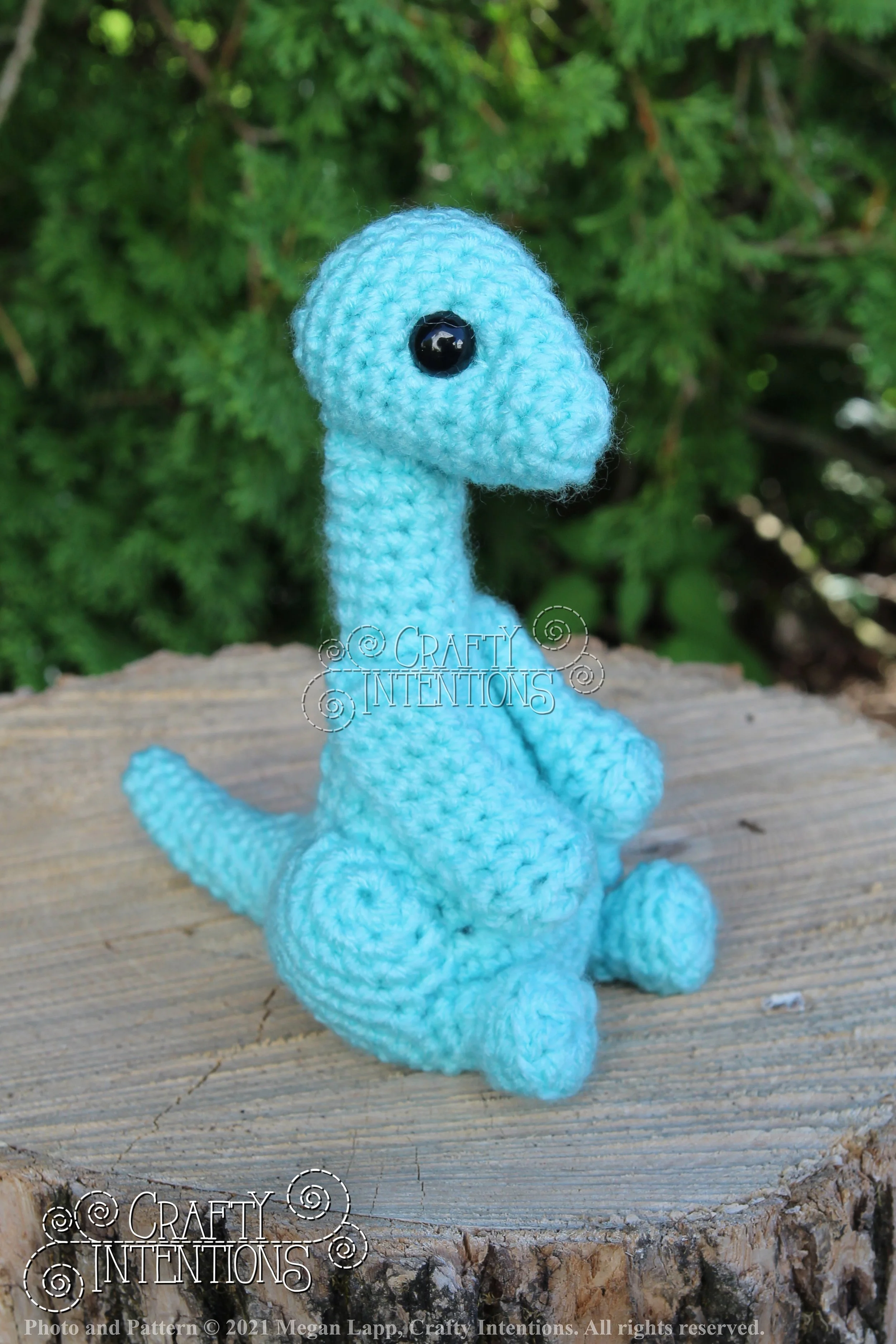 IMG_8290 with logo and copyright.jpg