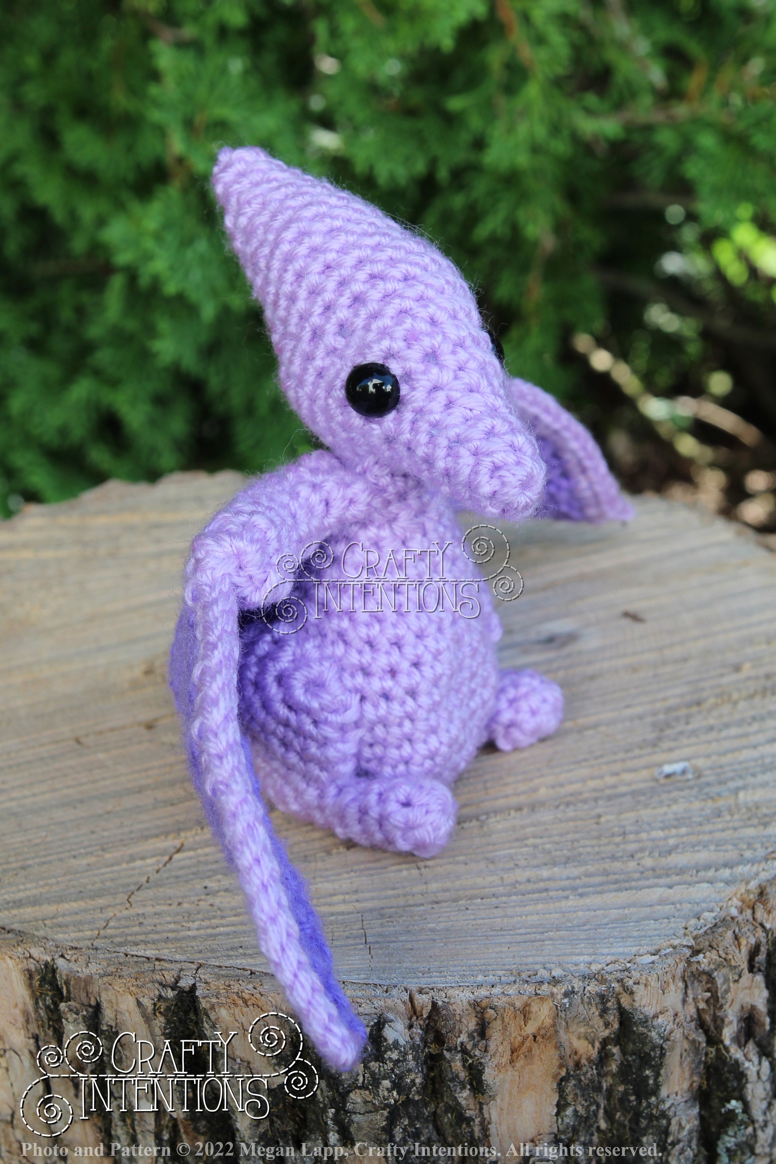 IMG_8291 with logo and copyright.jpg