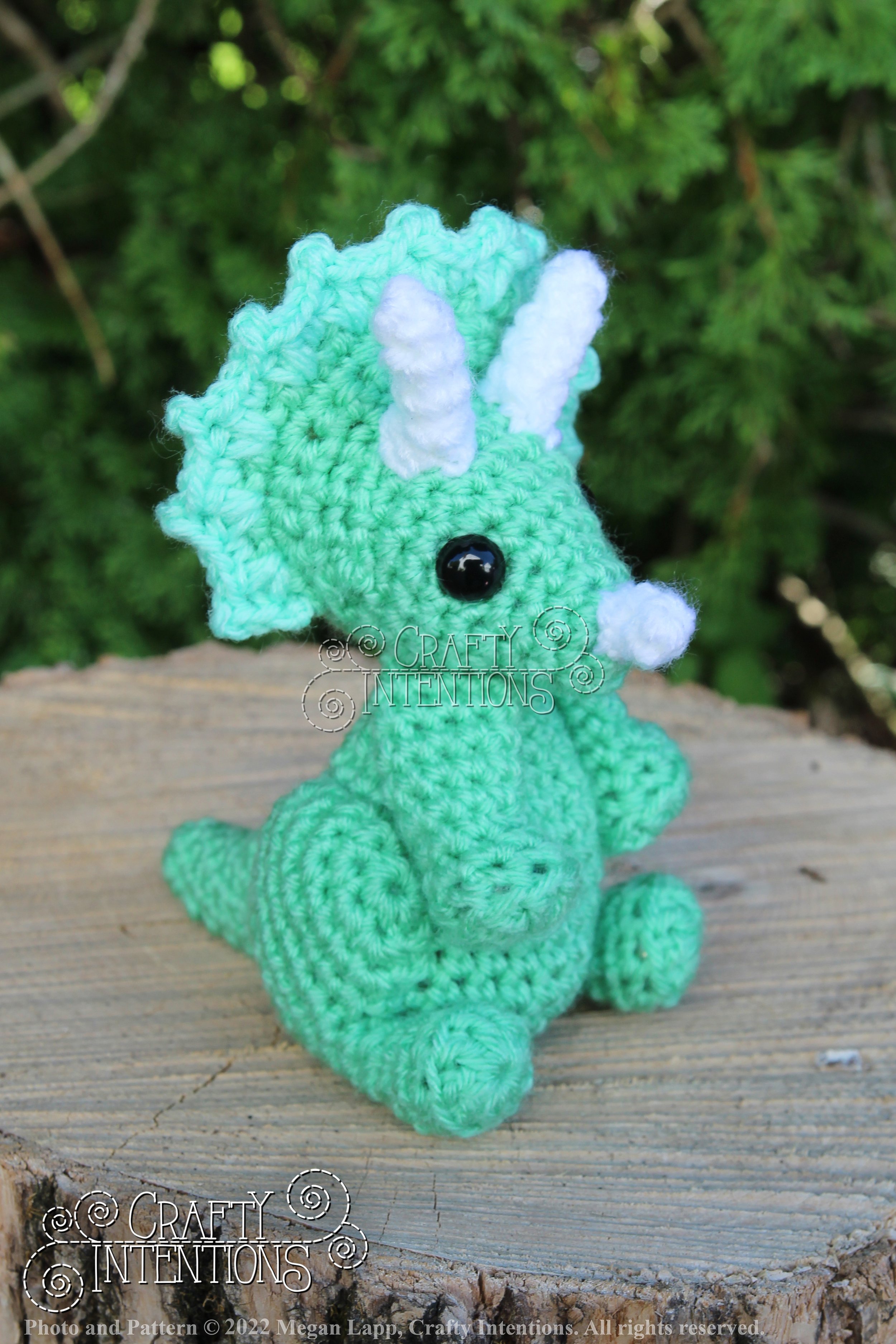 IMG_8303 with logo and copyright.jpg