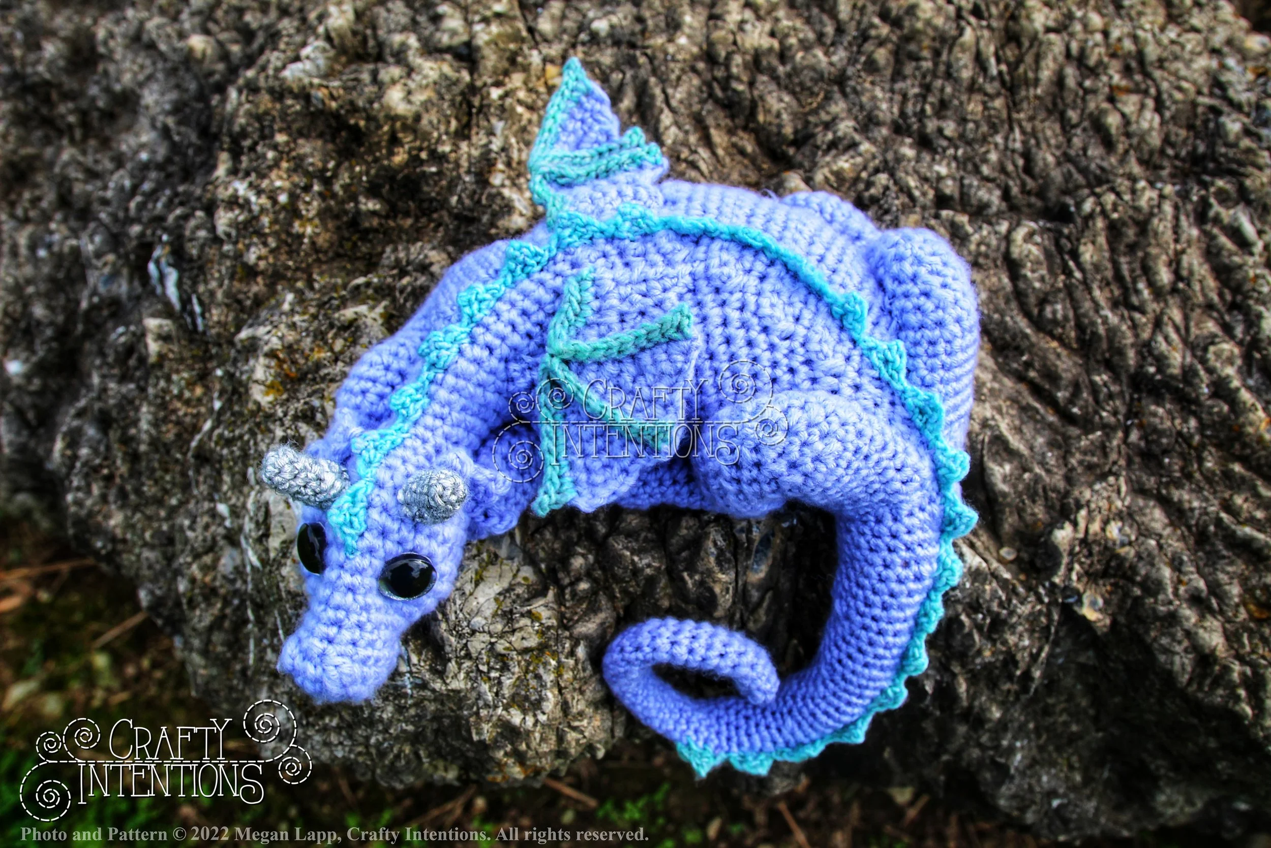 IMG_8683-01 with logo and copyright.jpg