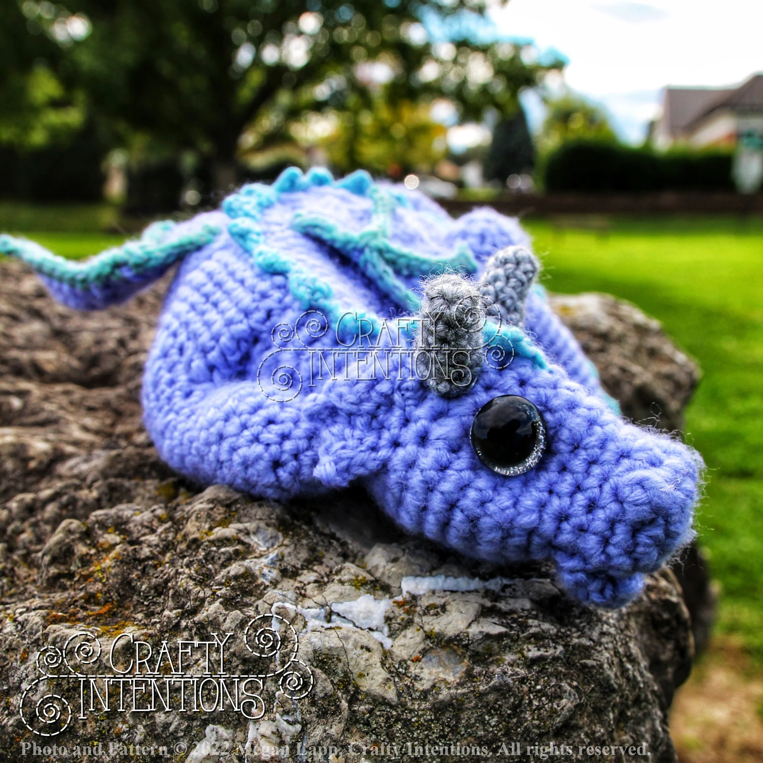 IMG_8684-01 with logo and copyright.jpg