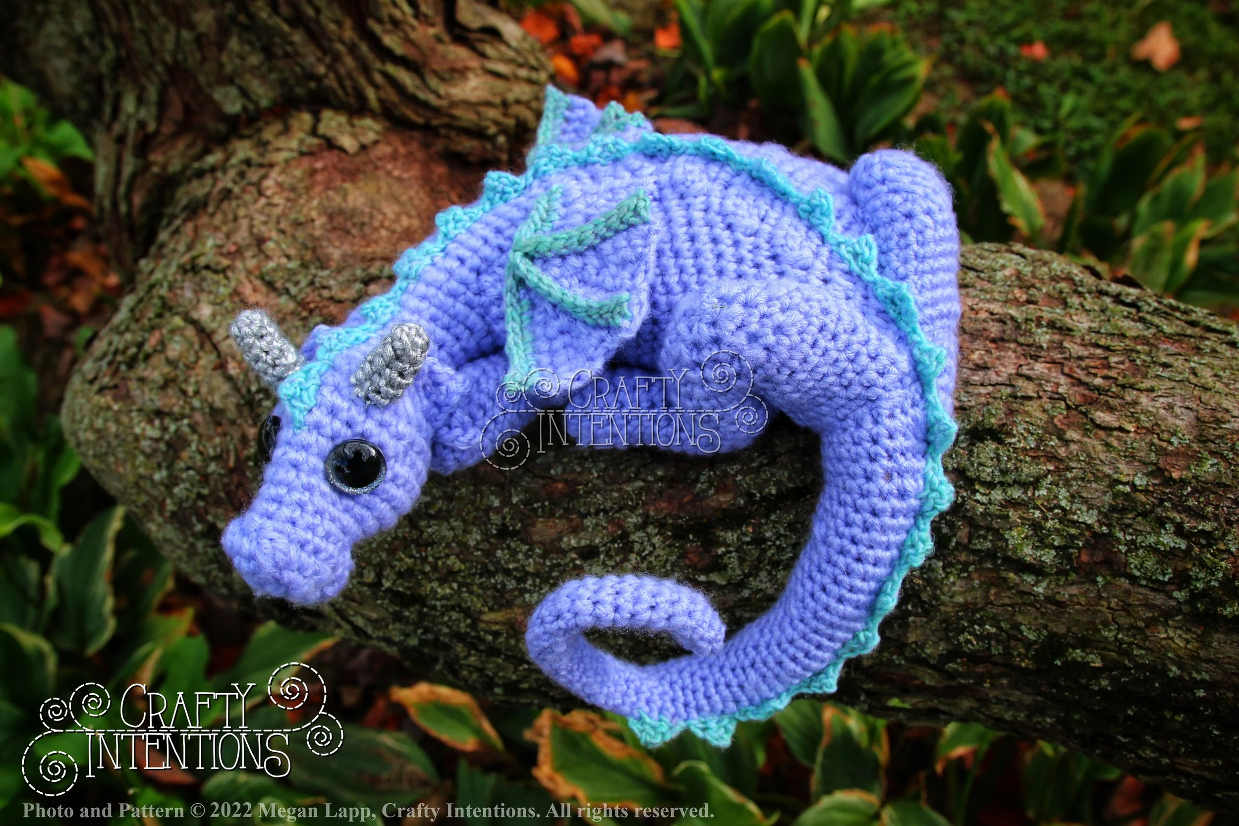 IMG_8701-01 with logo and copyright.jpg