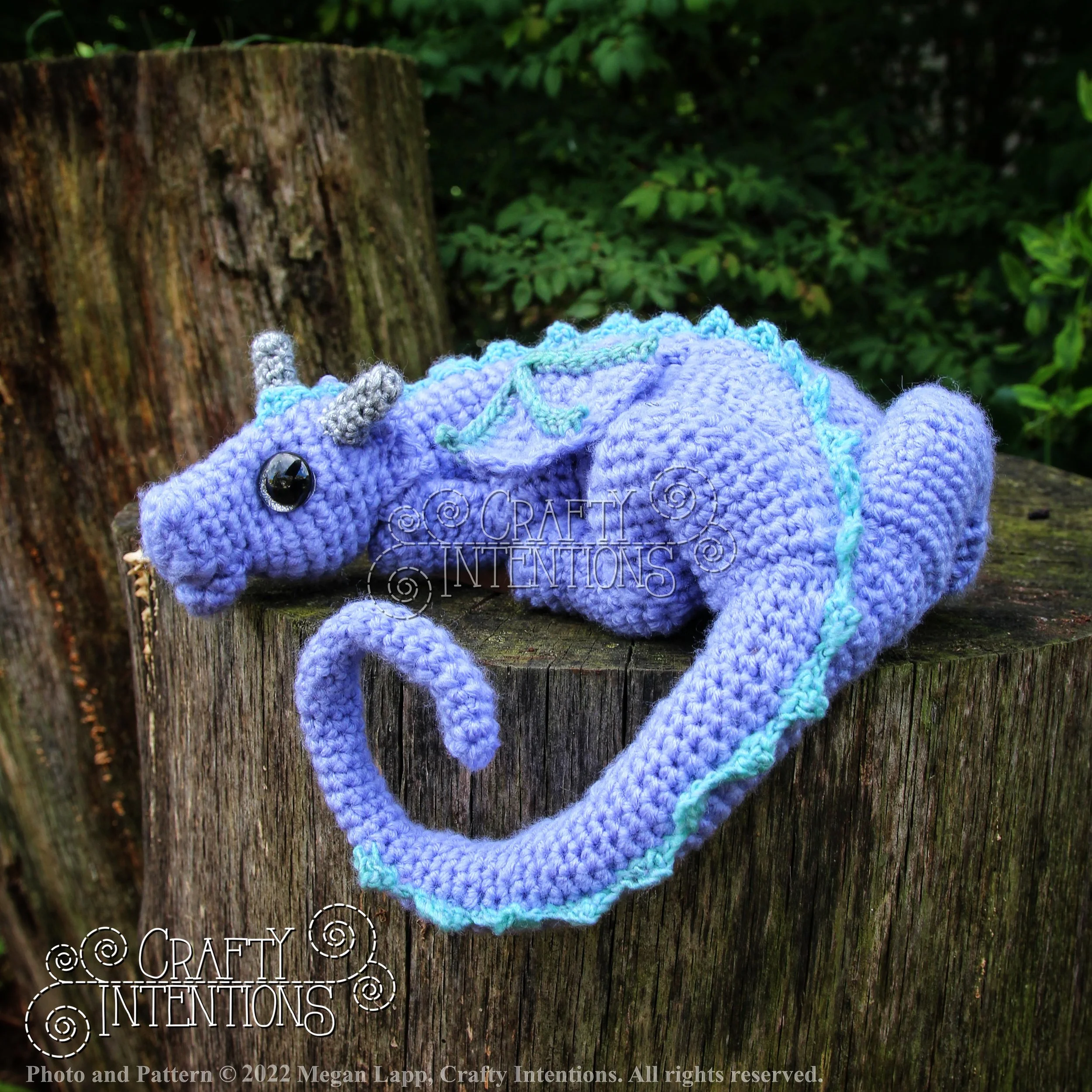 IMG_8708-01 with logo and copyright.jpg