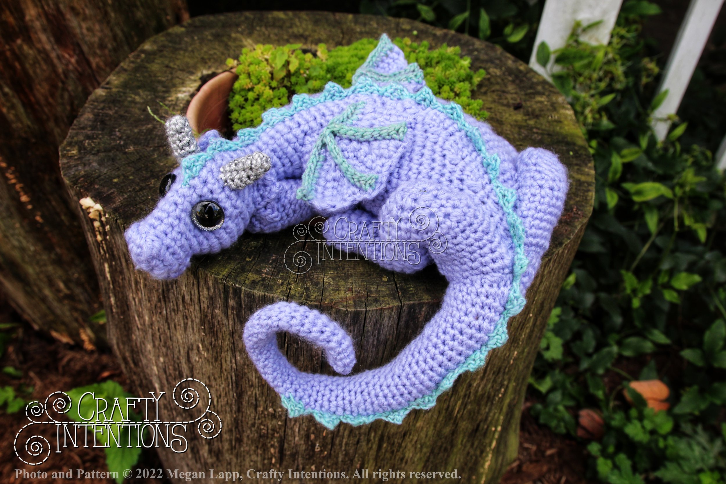 IMG_8714-01 with logo and copyright.jpg