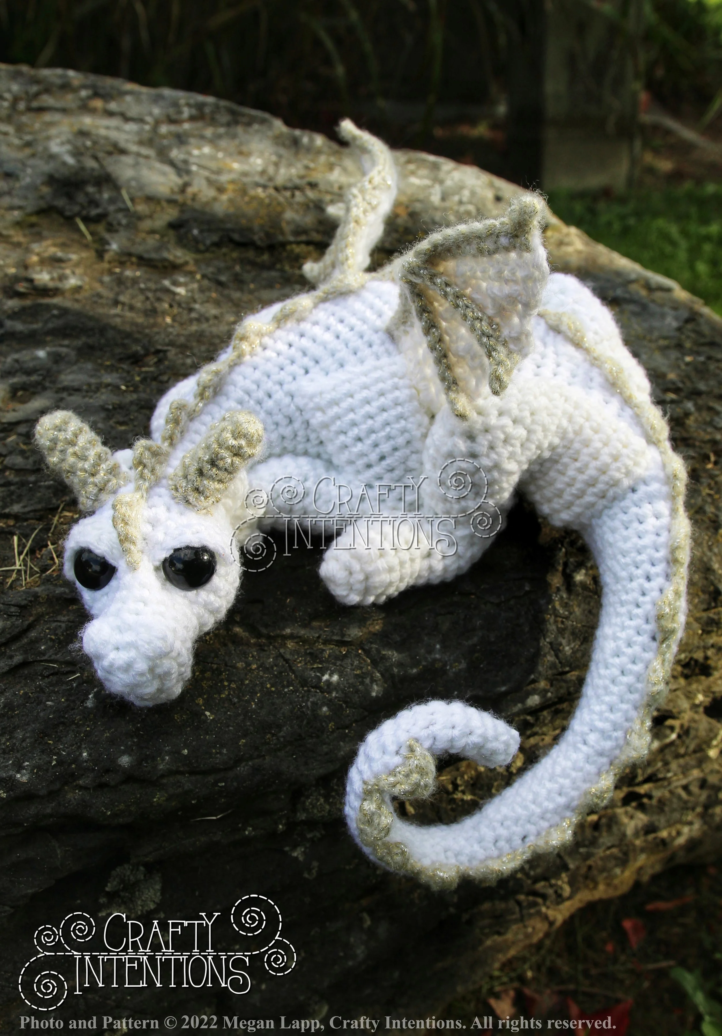 IMG_8717-01 with logo and copyright.jpg