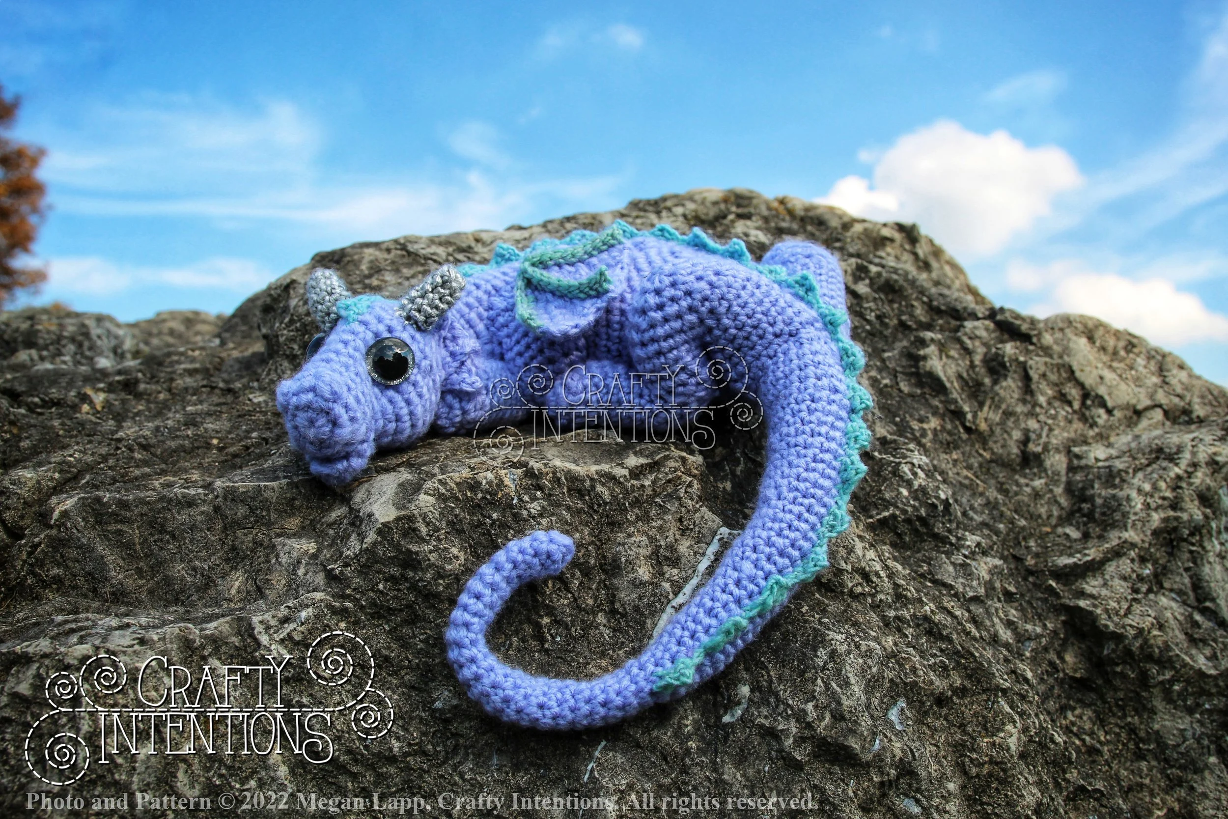 IMG_8904-01 with logo and copyright.jpg