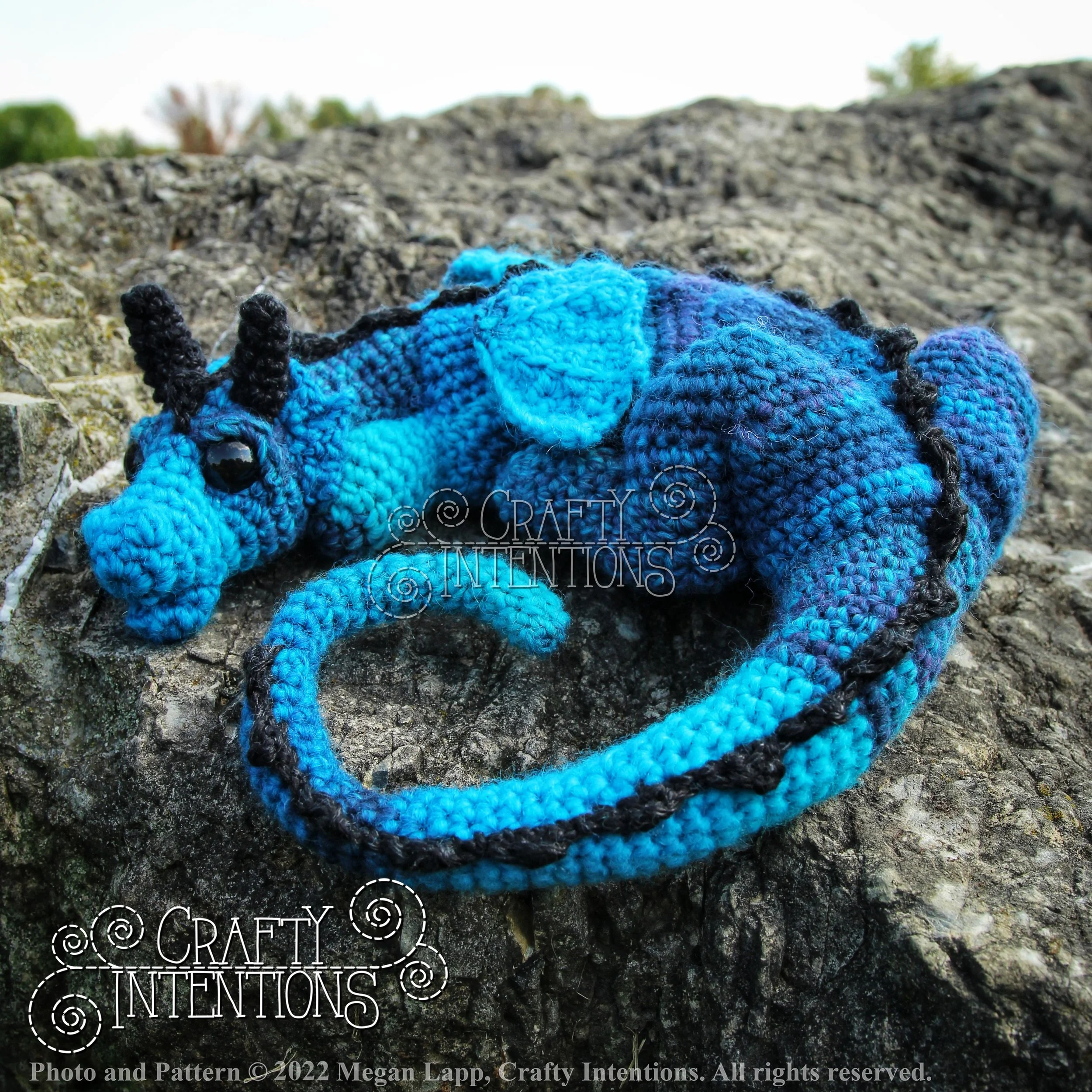 IMG_8930-01 with logo and copyright.jpg