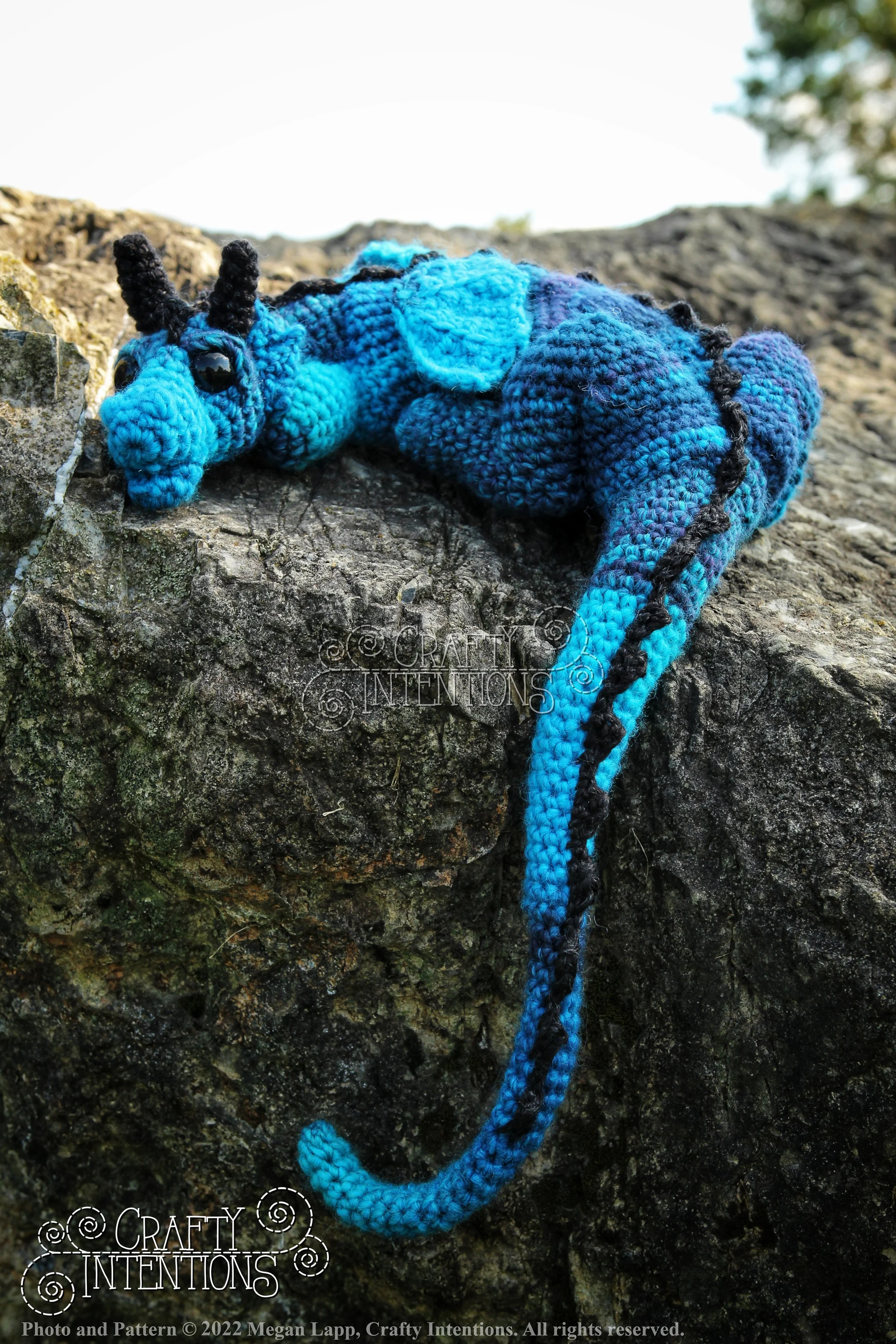 IMG_8940-01 with logo and copyright.jpg