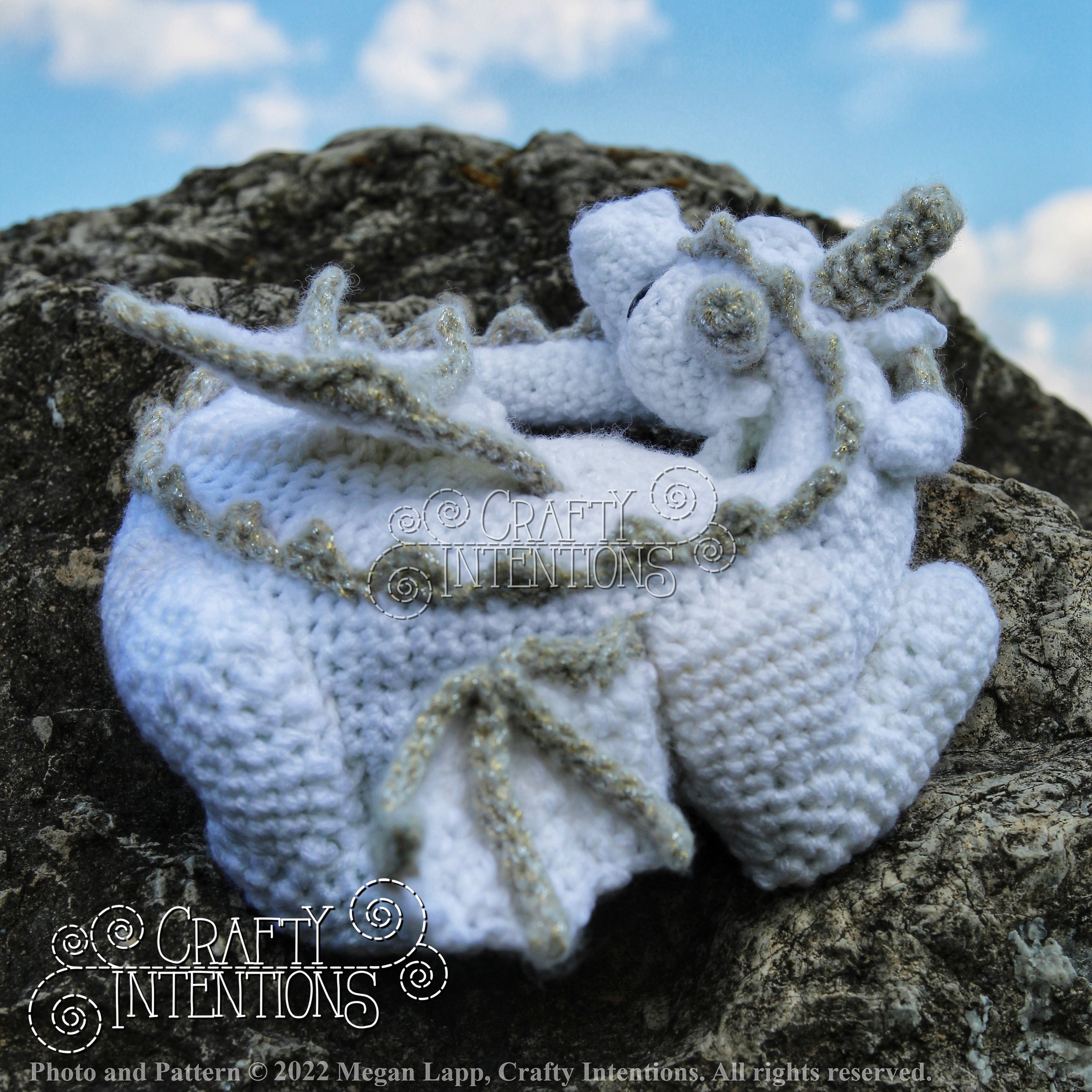 IMG_9000-01 with logo and copyright.jpg