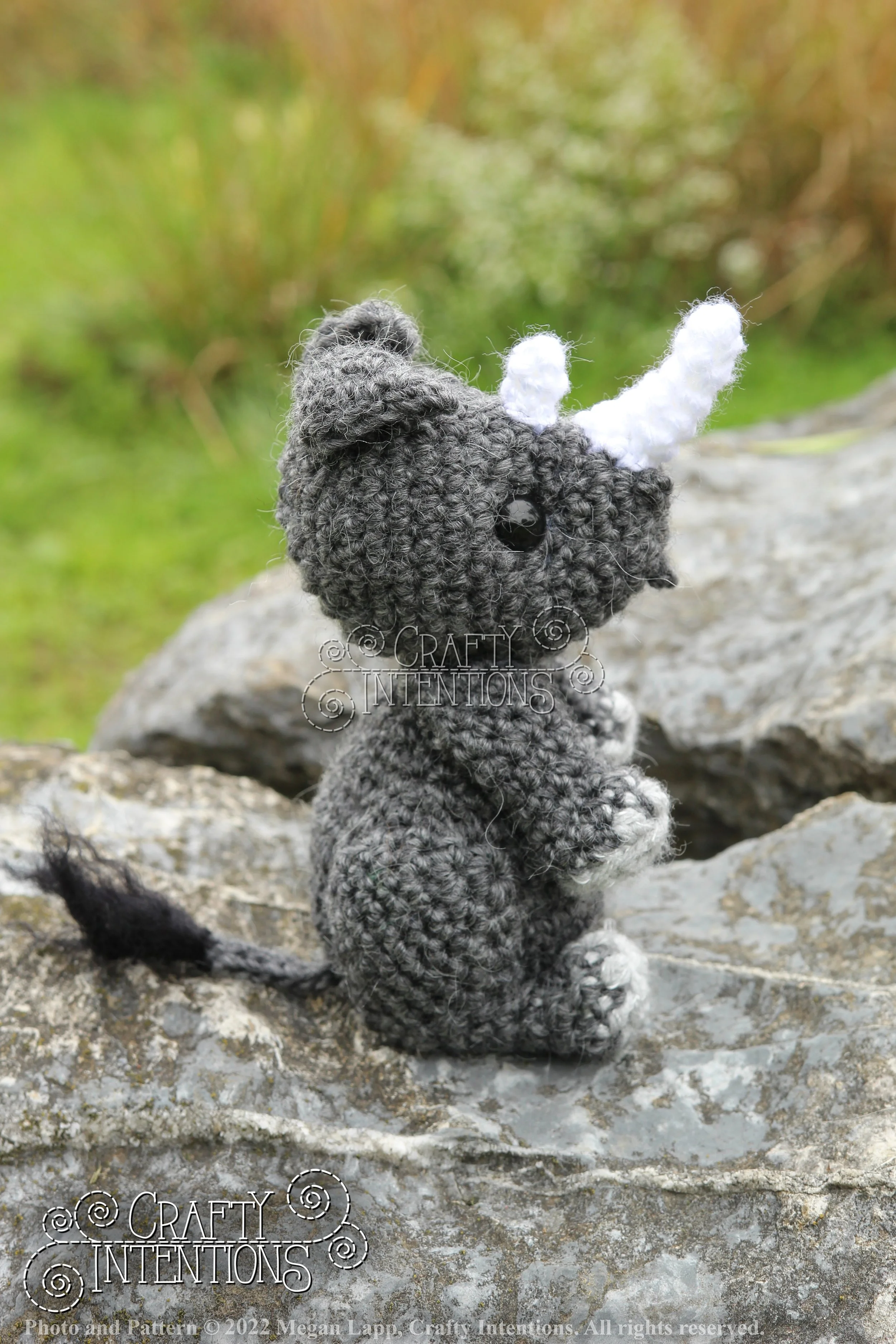 IMG_9151 with edits with logo and copyright.jpg