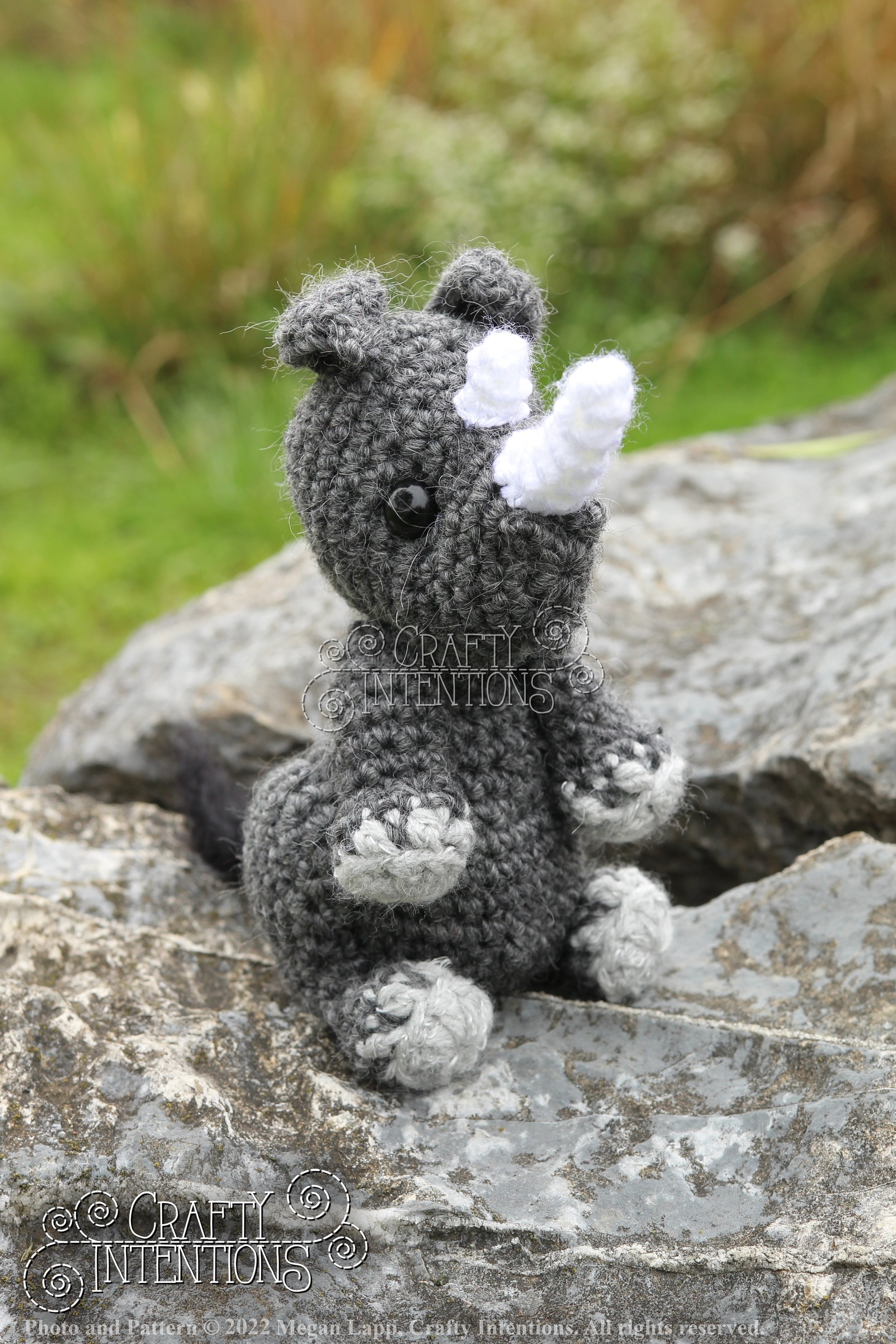 IMG_9149 with edits with logo and copyright.jpg