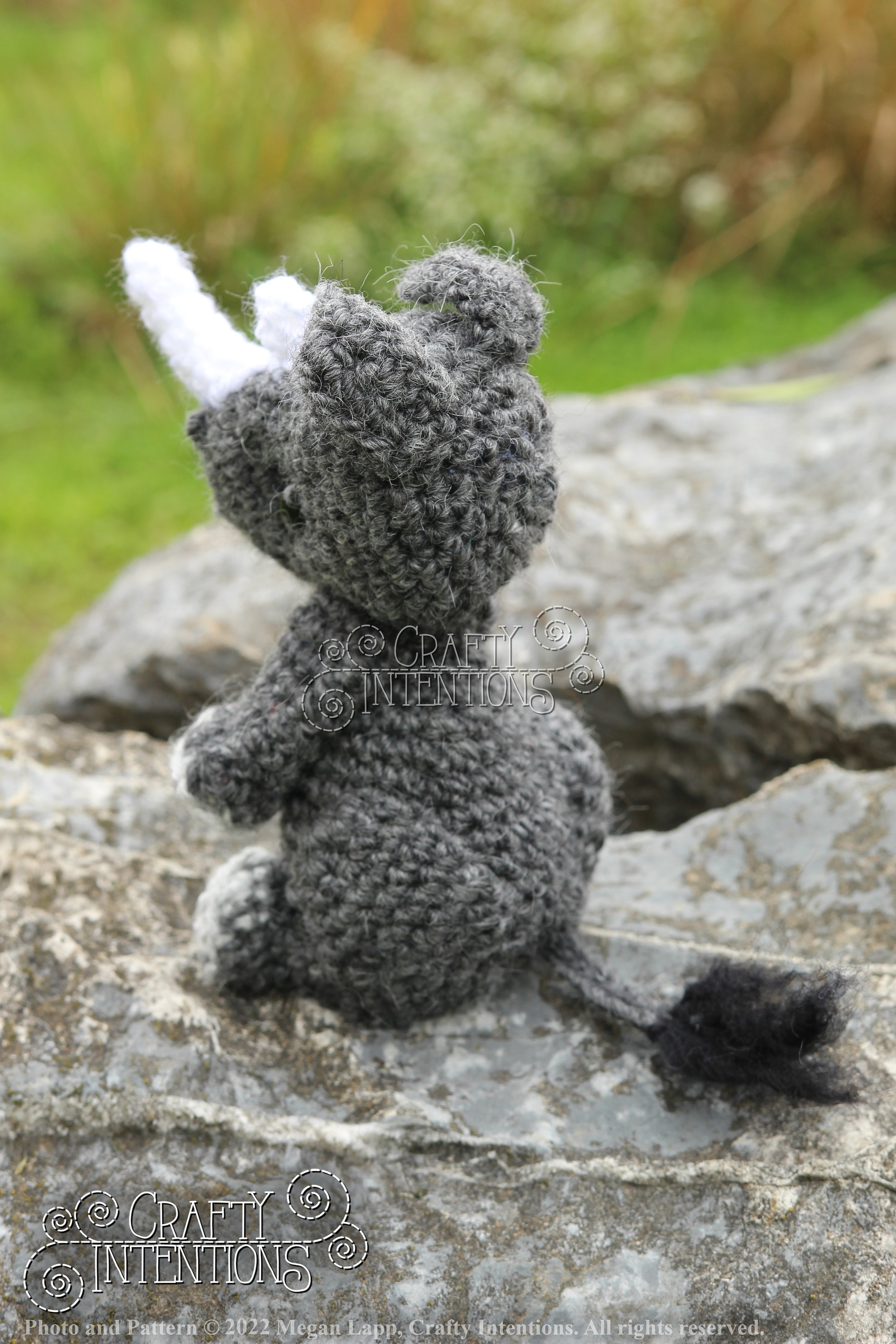 IMG_9154 with edits with logo and copyright.jpg