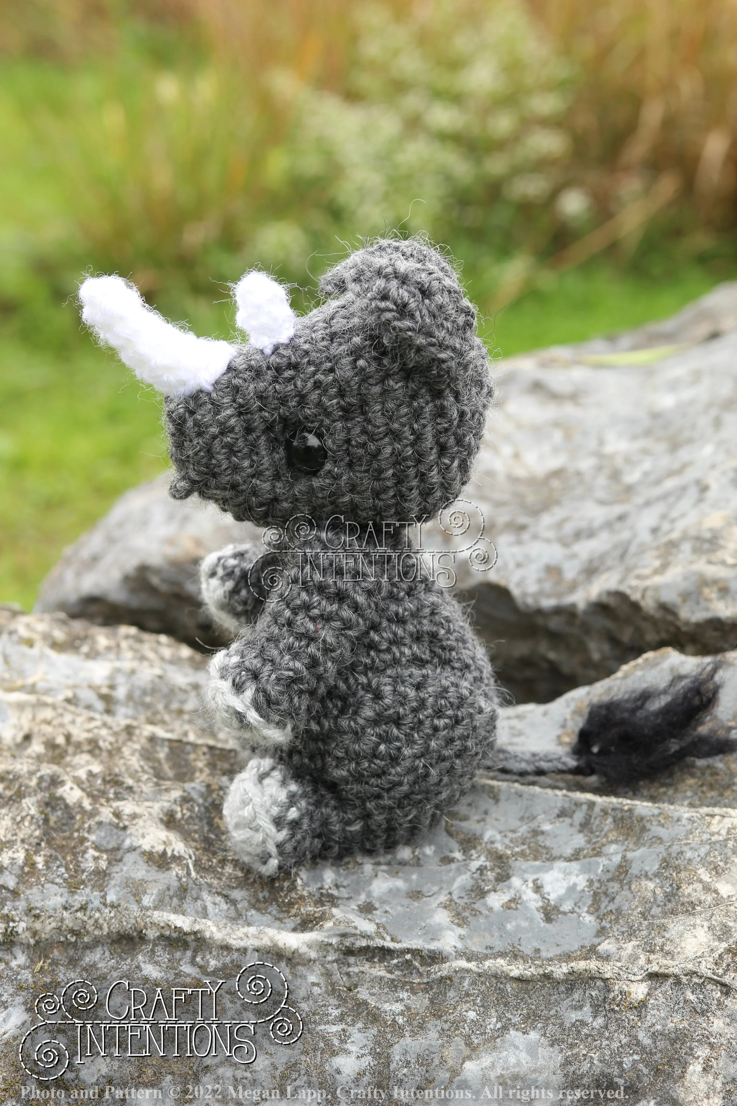 IMG_9156 with edits with logo and copyright.jpg