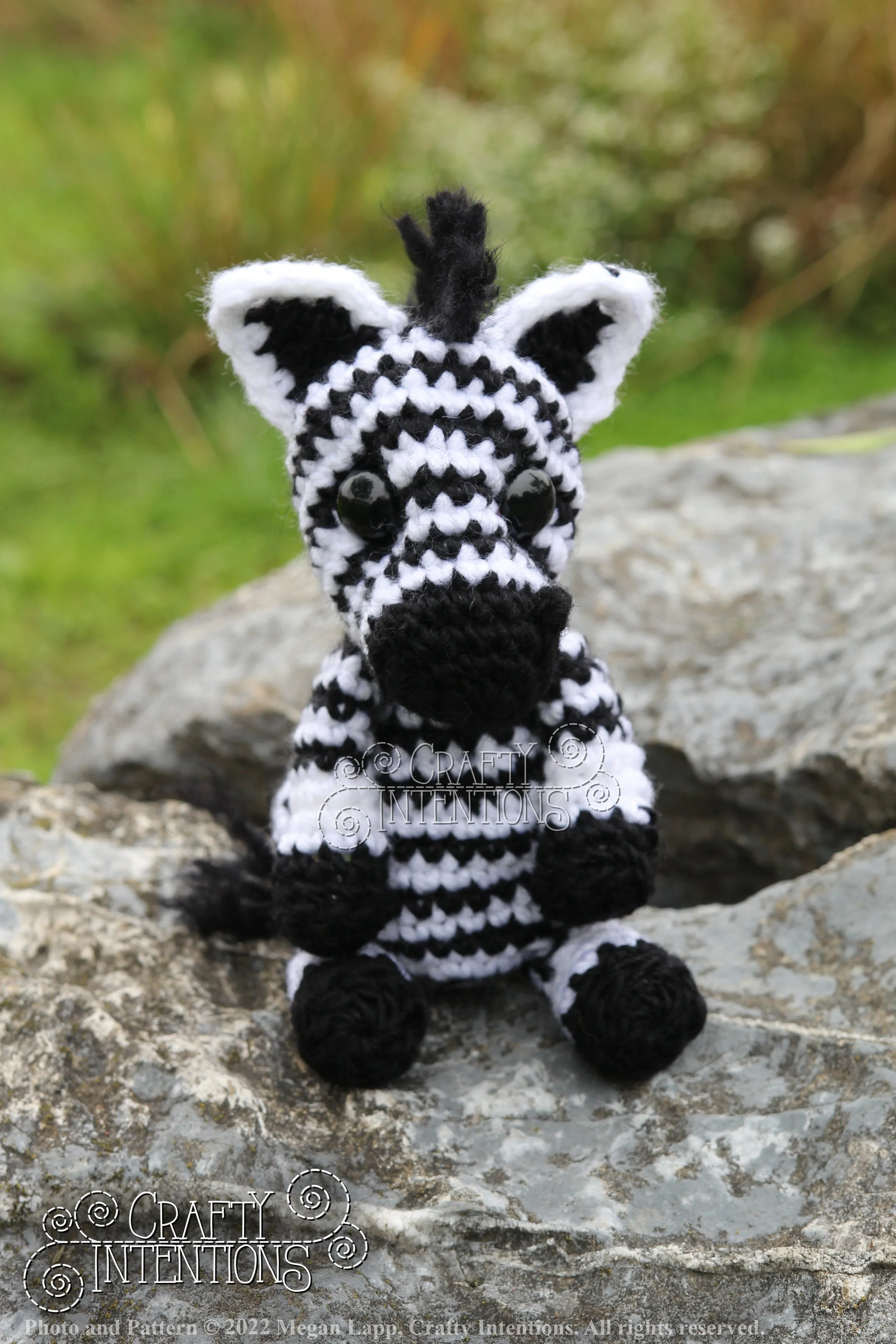 IMG_9159 with logo and copyright.jpg