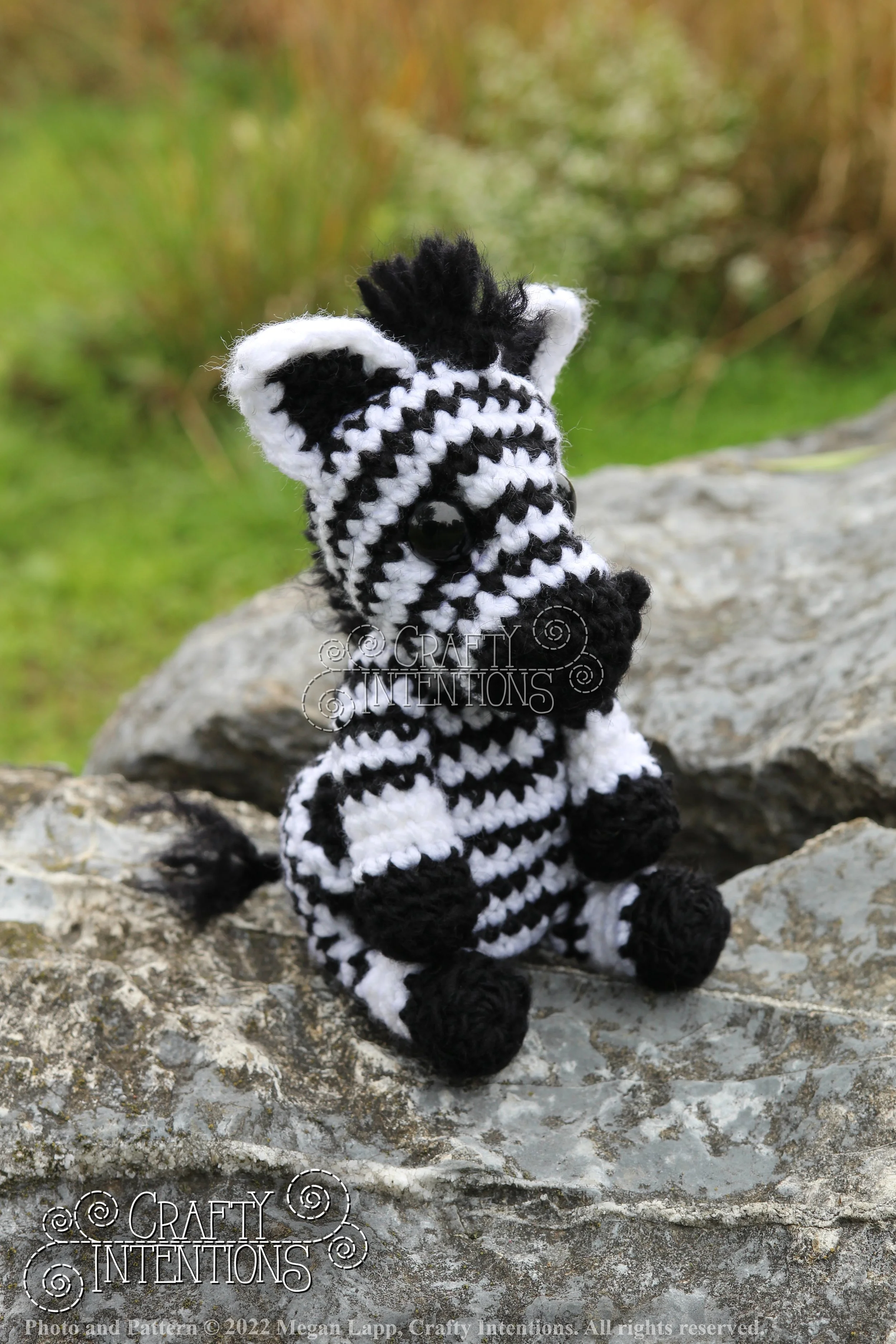 IMG_9160 with logo and copyright.jpg