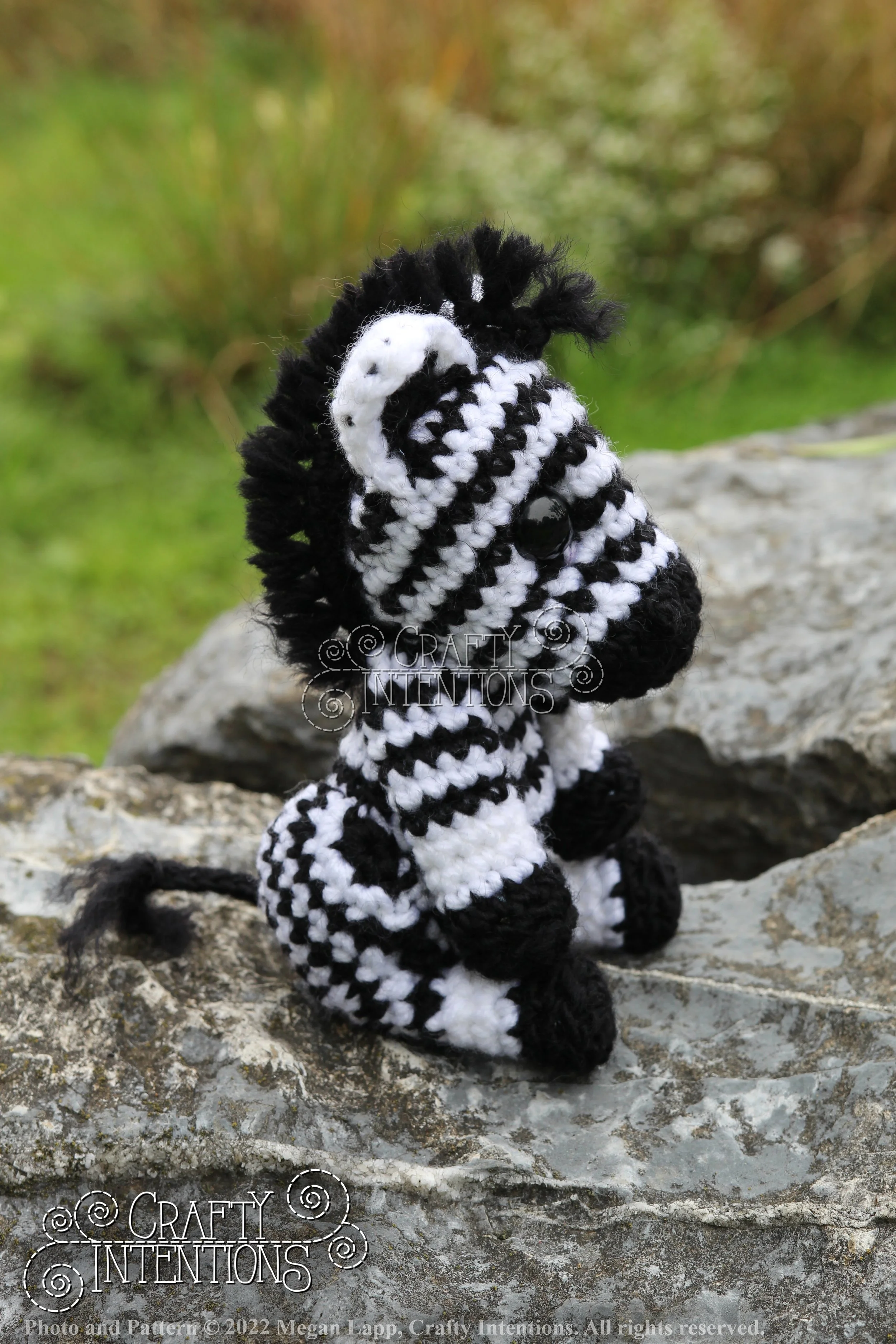 IMG_9162 with edits with logo and copyright.jpg