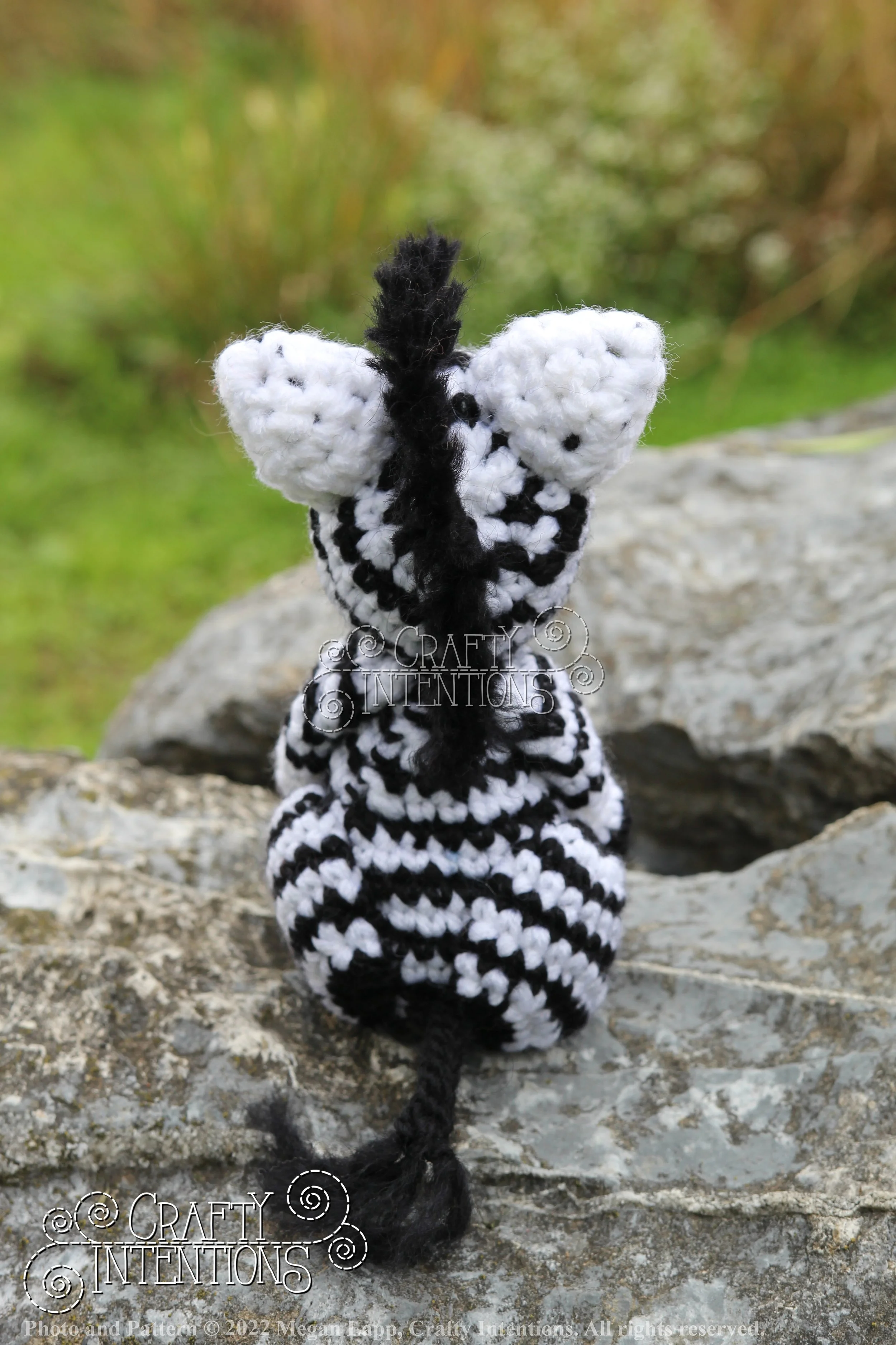 IMG_9165 with edits with logo and copyright.jpg