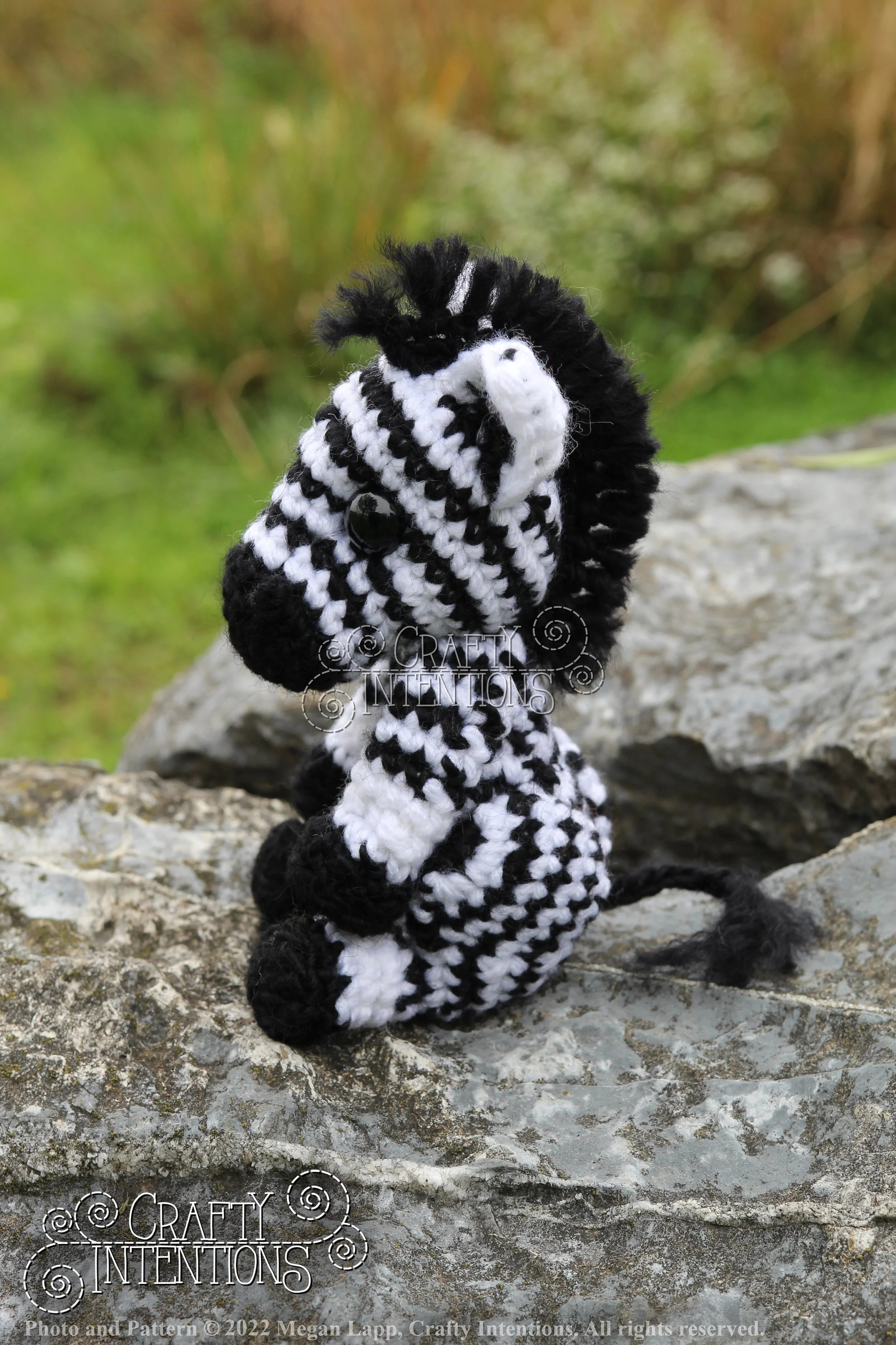 IMG_9167 with edits with logo and copyright.jpg