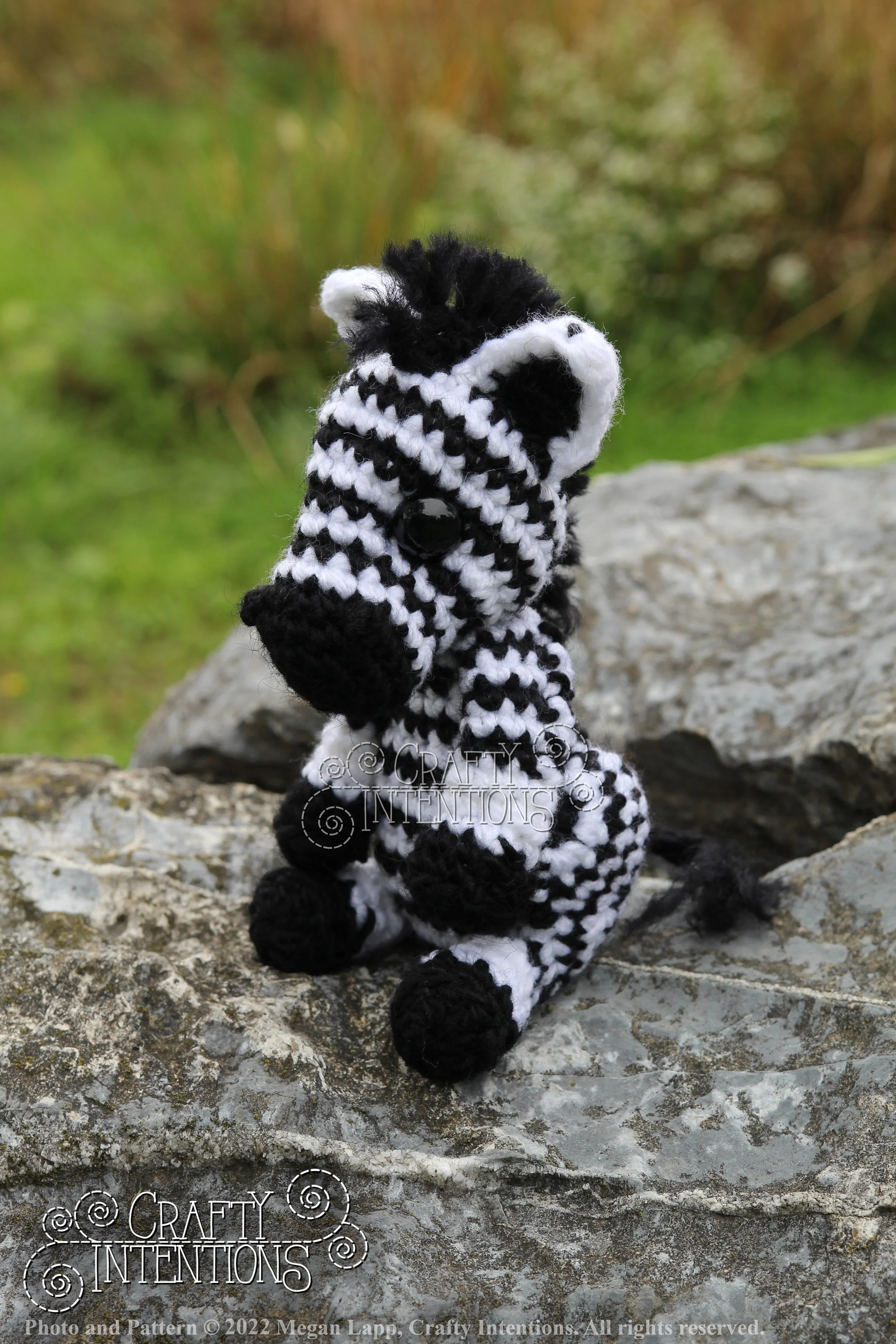 IMG_9168 with edits with logo and copyright.jpg