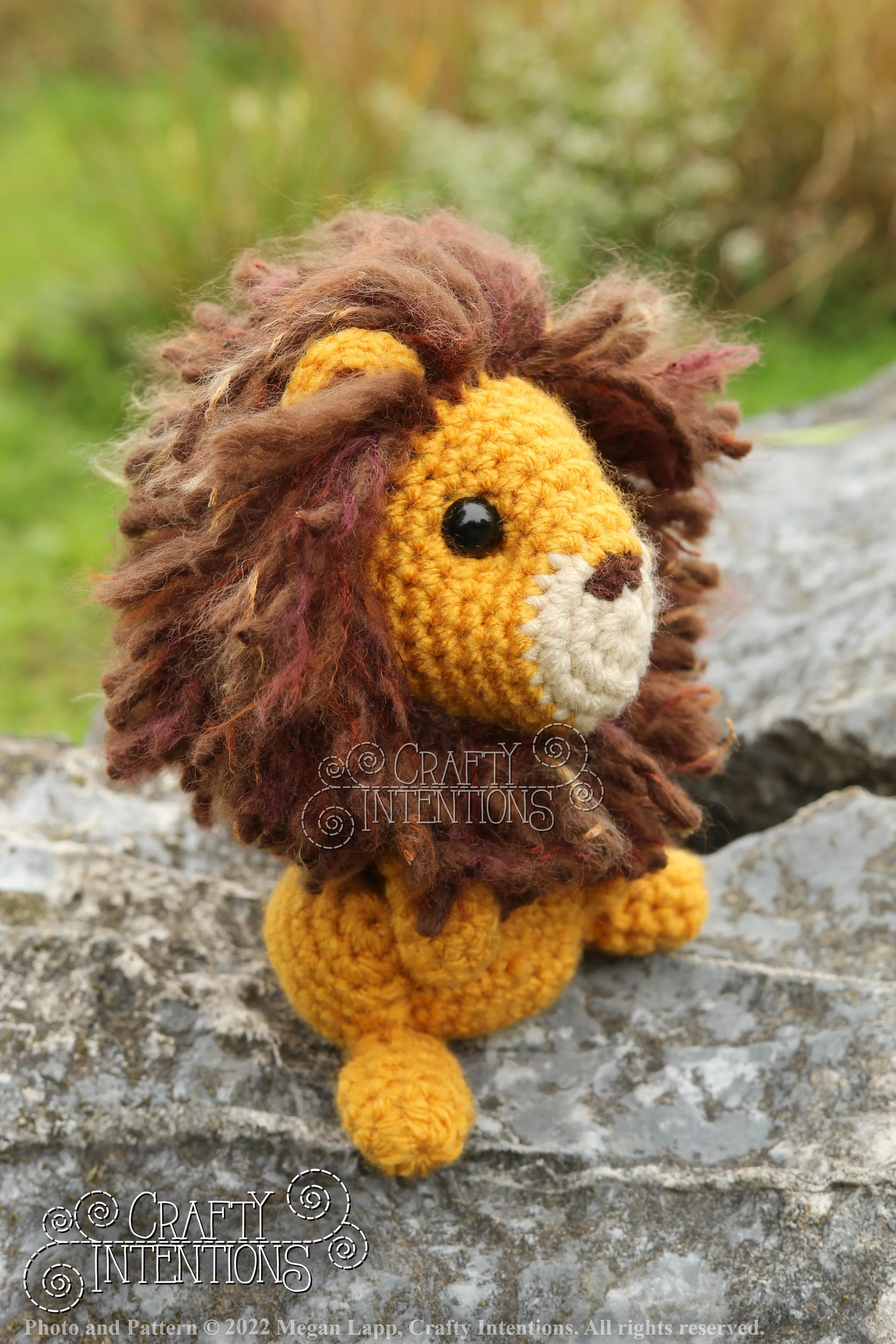 IMG_9173 with logo and copyright.jpg