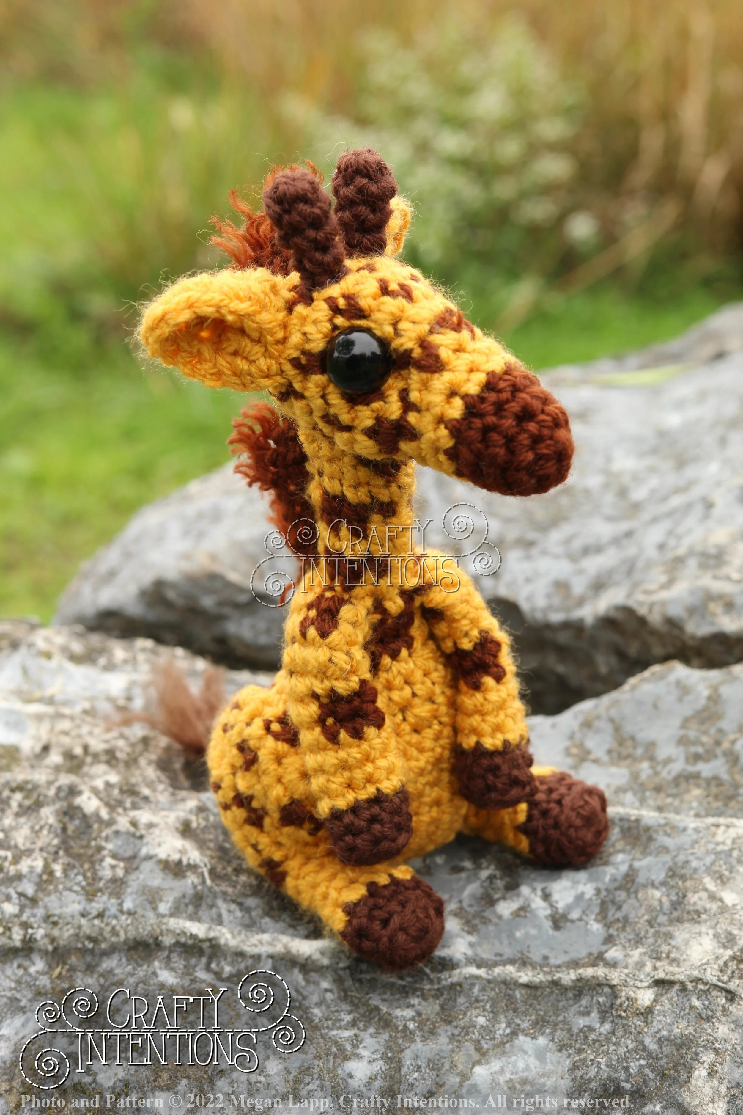 IMG_9185 with edits with logo and copyright.jpg