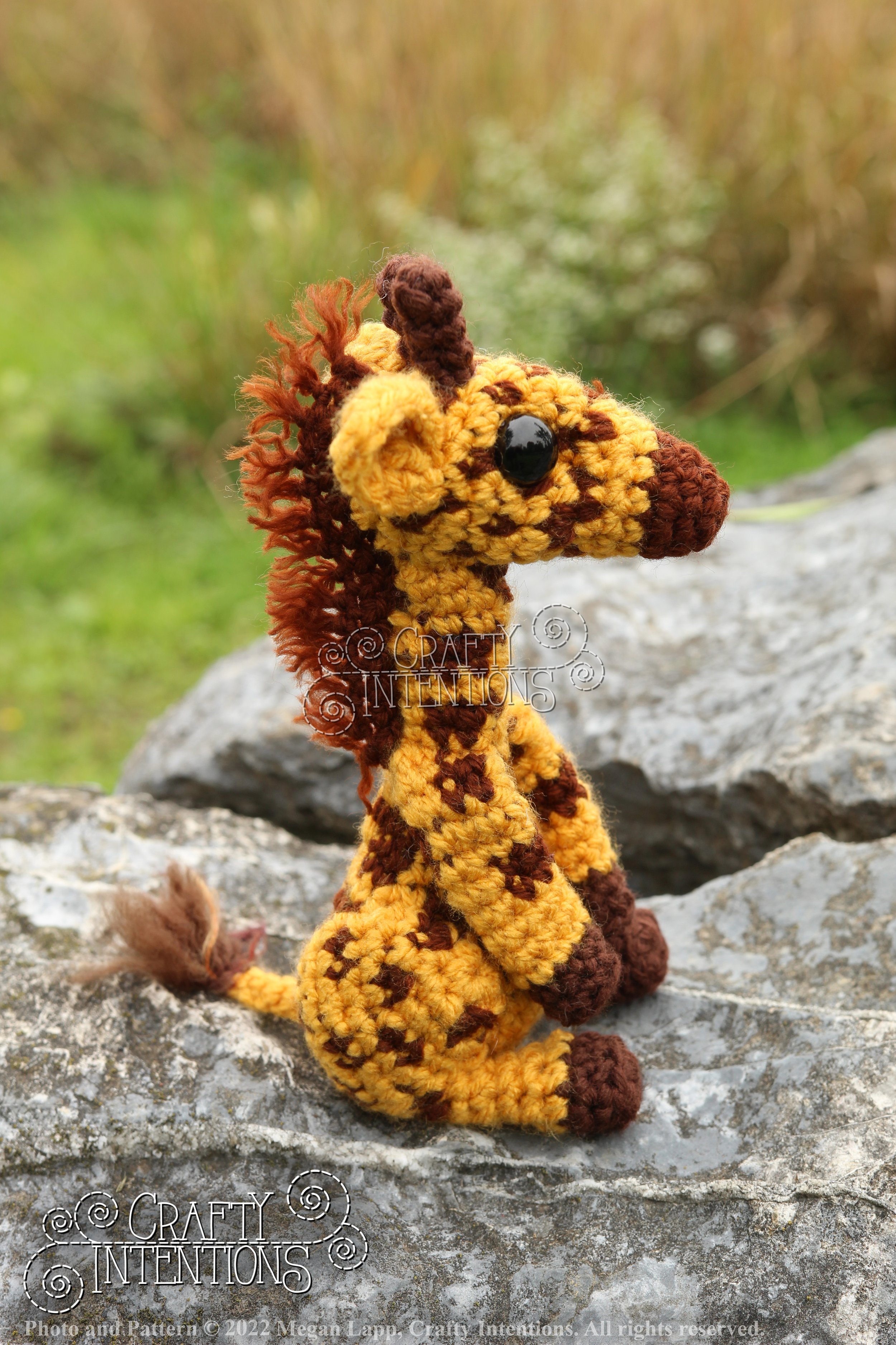 IMG_9187 with logo and copyright.jpg