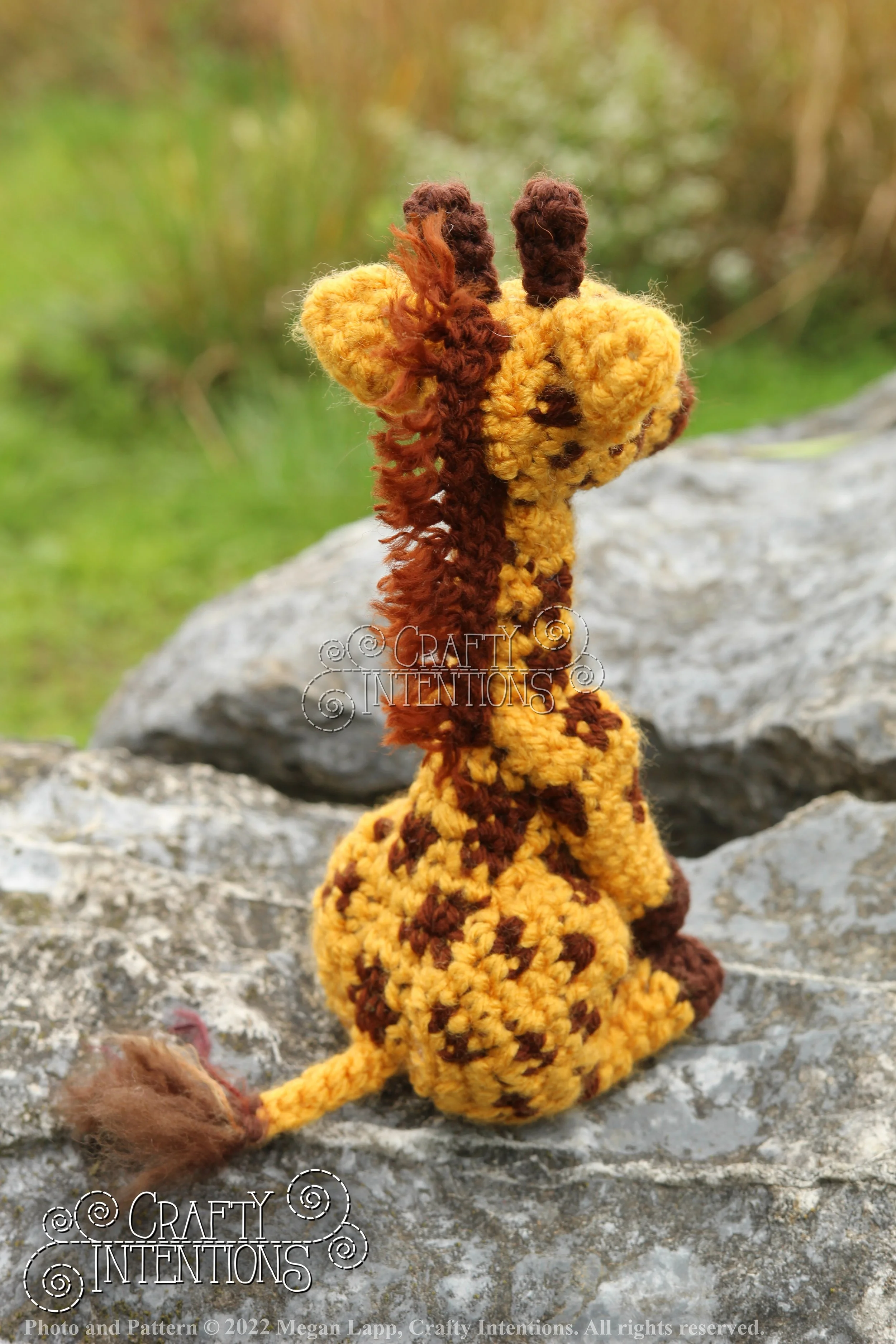 IMG_9188 with edit with logo and copyright.jpg