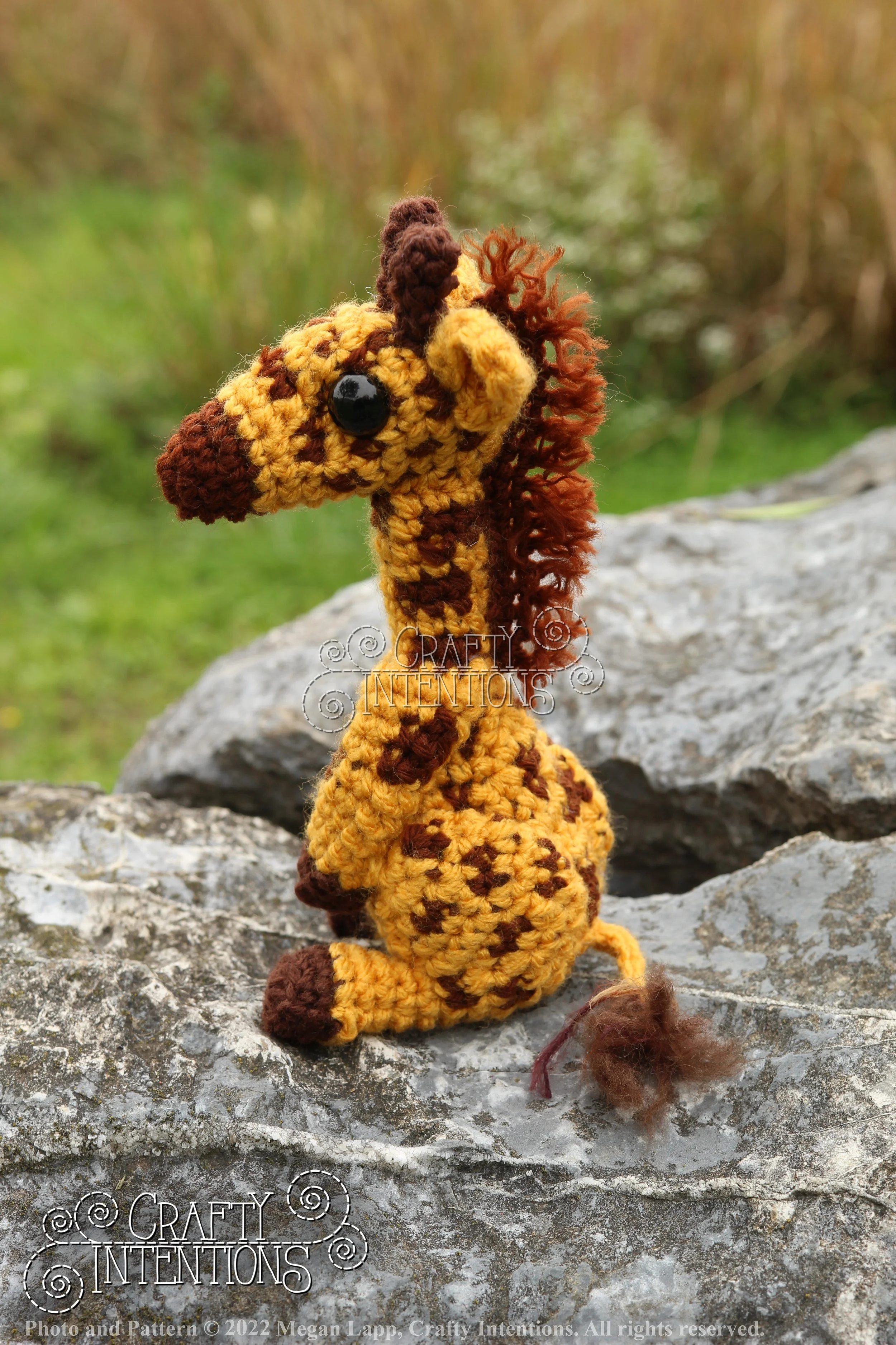 IMG_9191 with logo and copyright.jpg