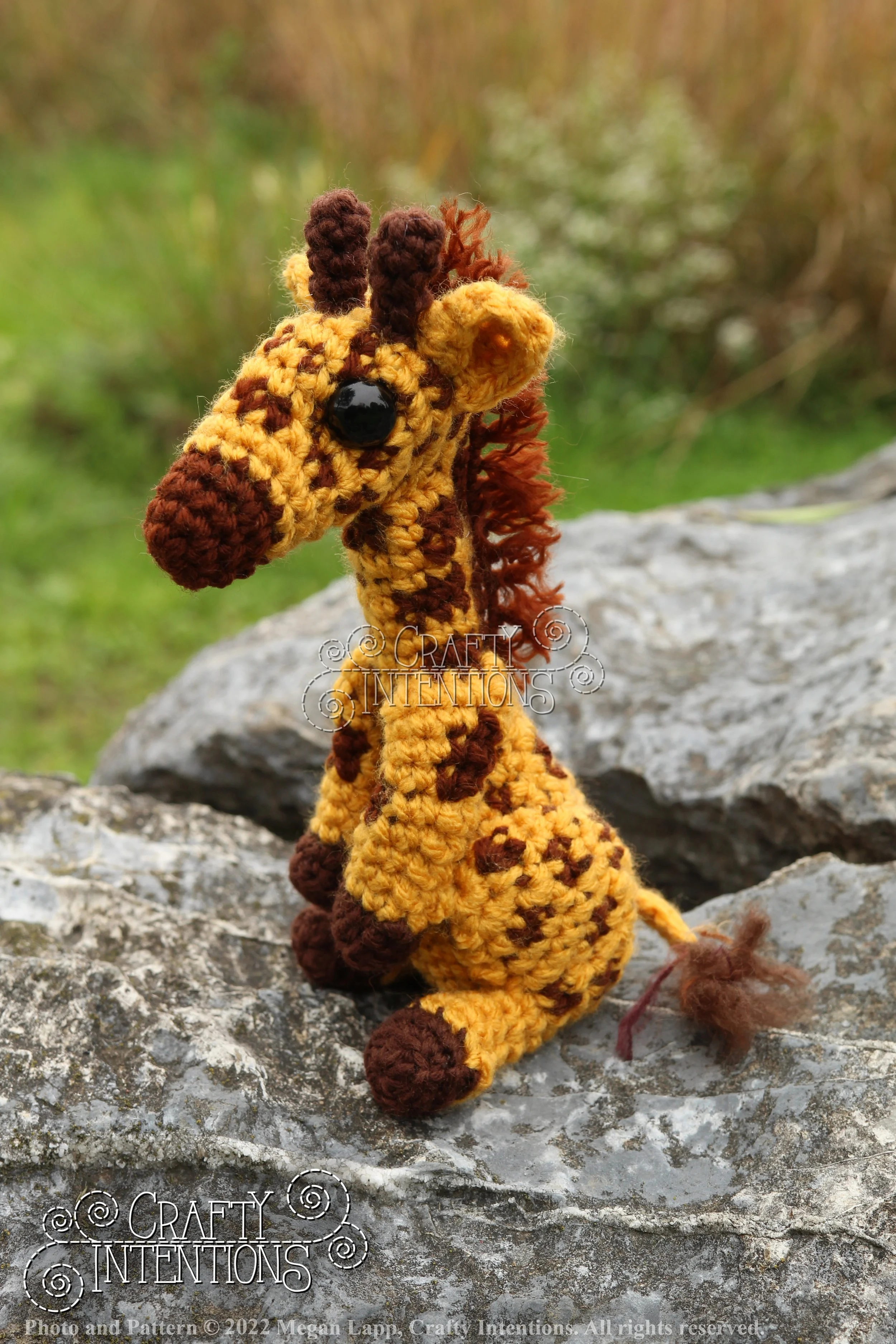 IMG_9193 with edits with logo and copyright.jpg