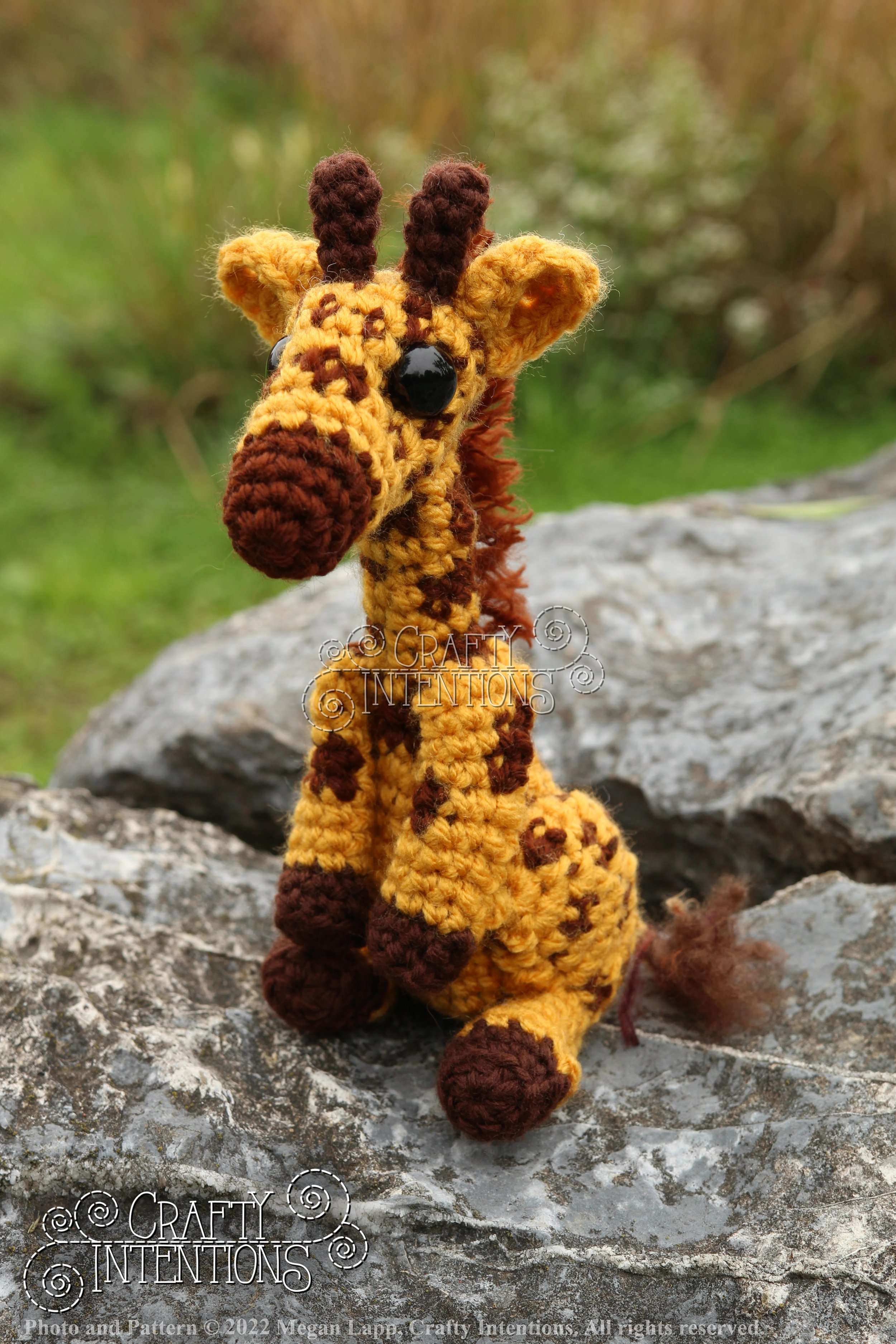 IMG_9194 with edits with logo and copyright.jpg