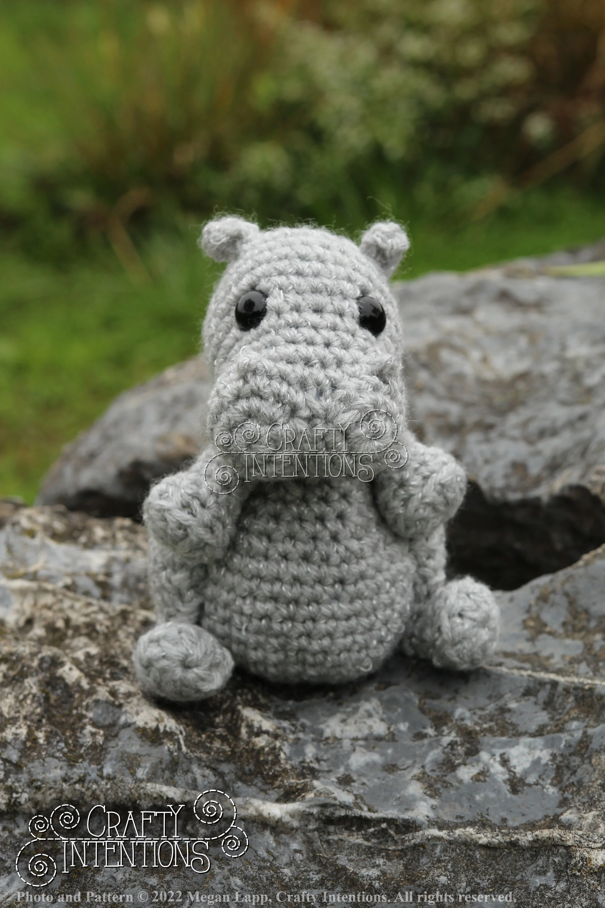 IMG_9195 with edits with logo and copyright.jpg