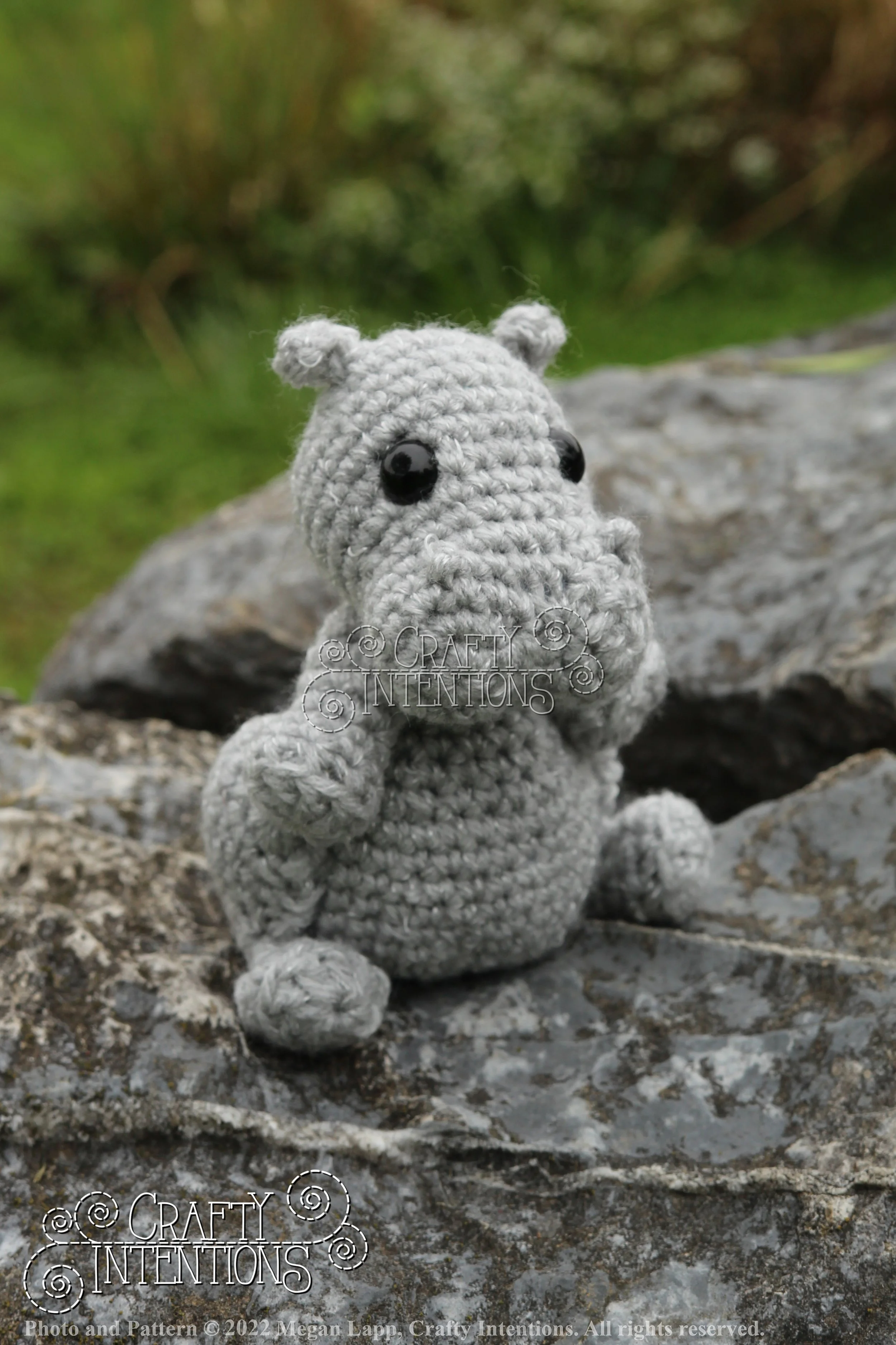 IMG_9196 with edits with logo and copyright.jpg