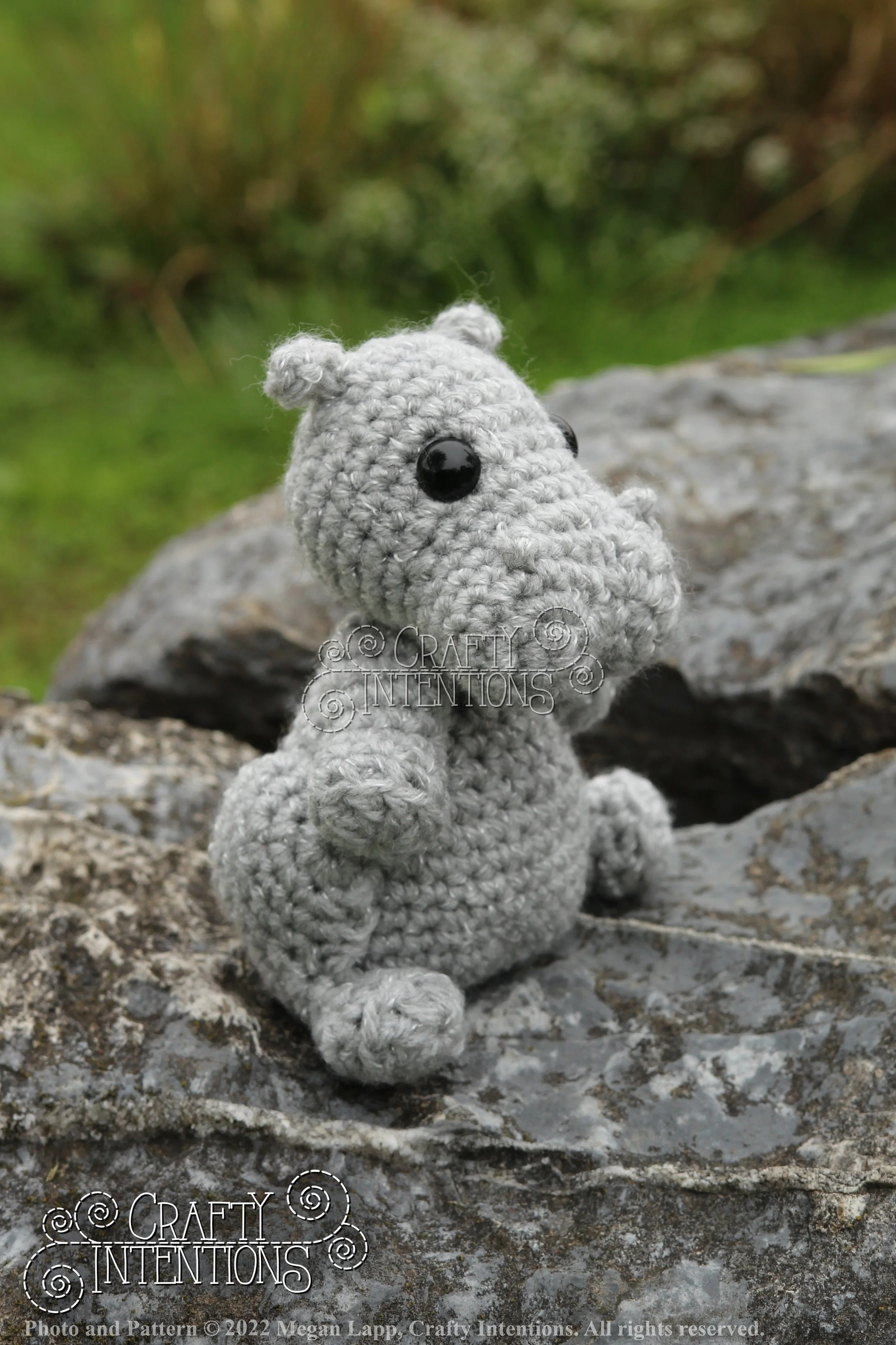 IMG_9197 with edits with logo and copyright.jpg