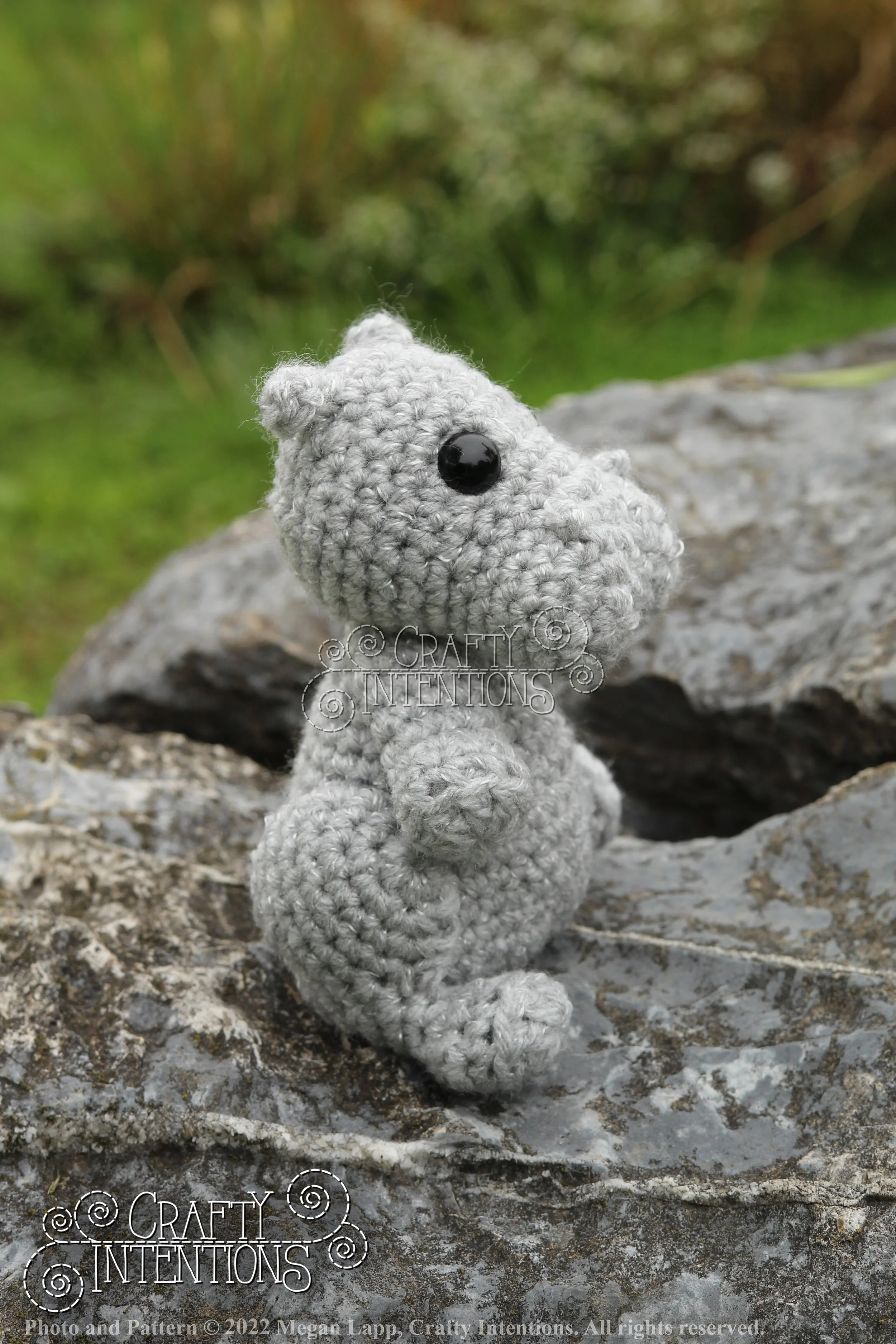 IMG_9198 with edits with logo and copyright.jpg