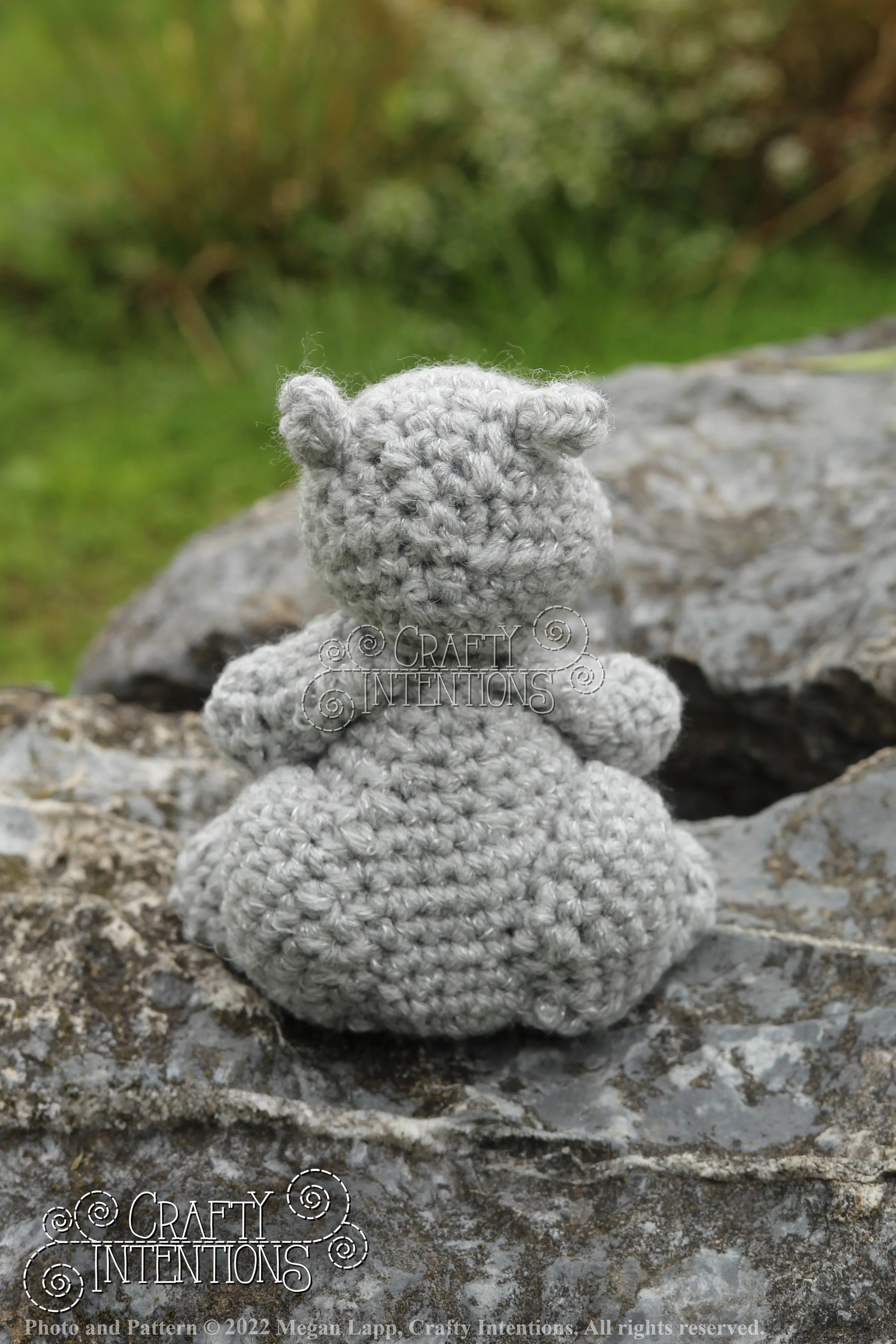 IMG_9202 with edits with logo and copyright.jpg