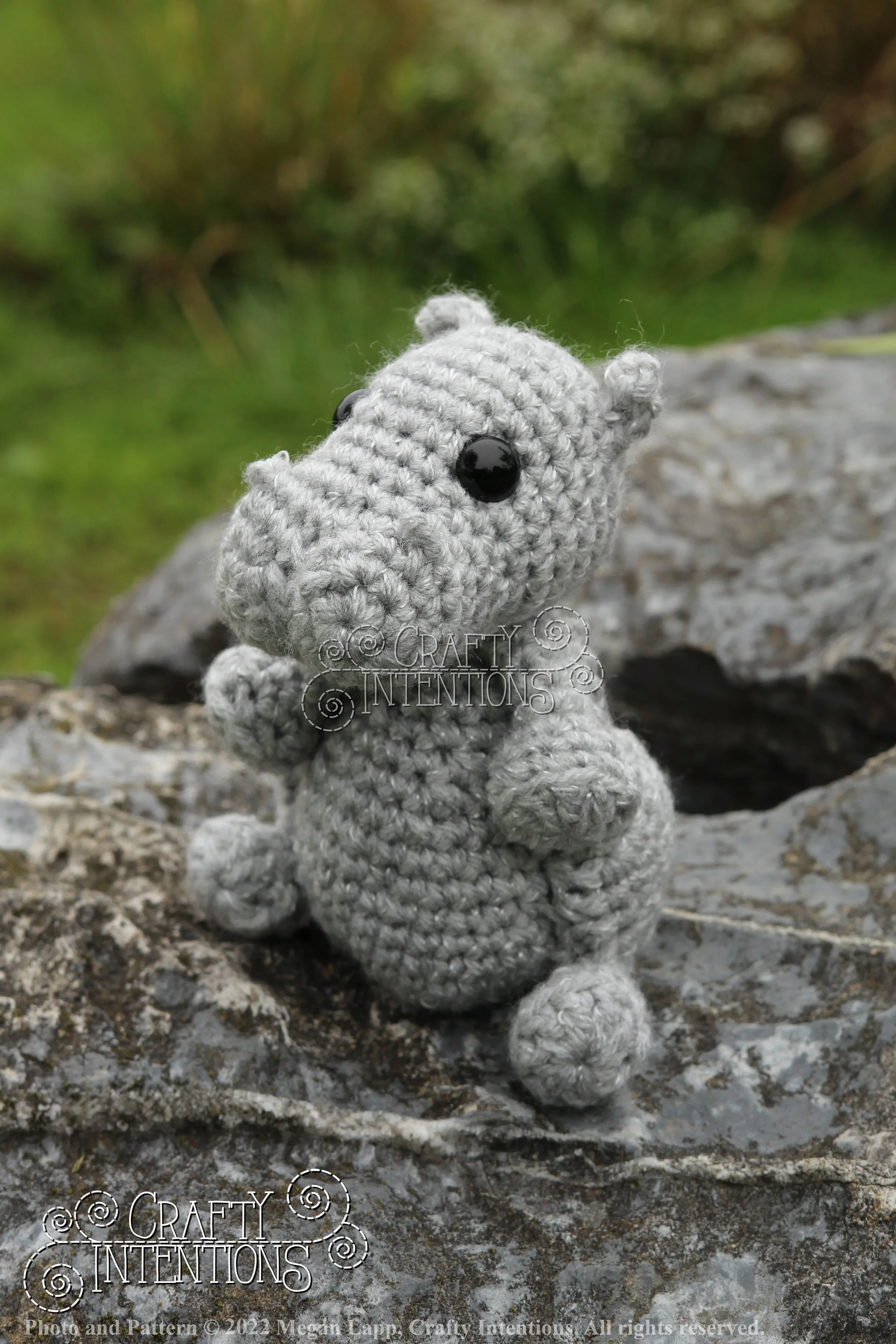 IMG_9208 with logo and copyright.jpg