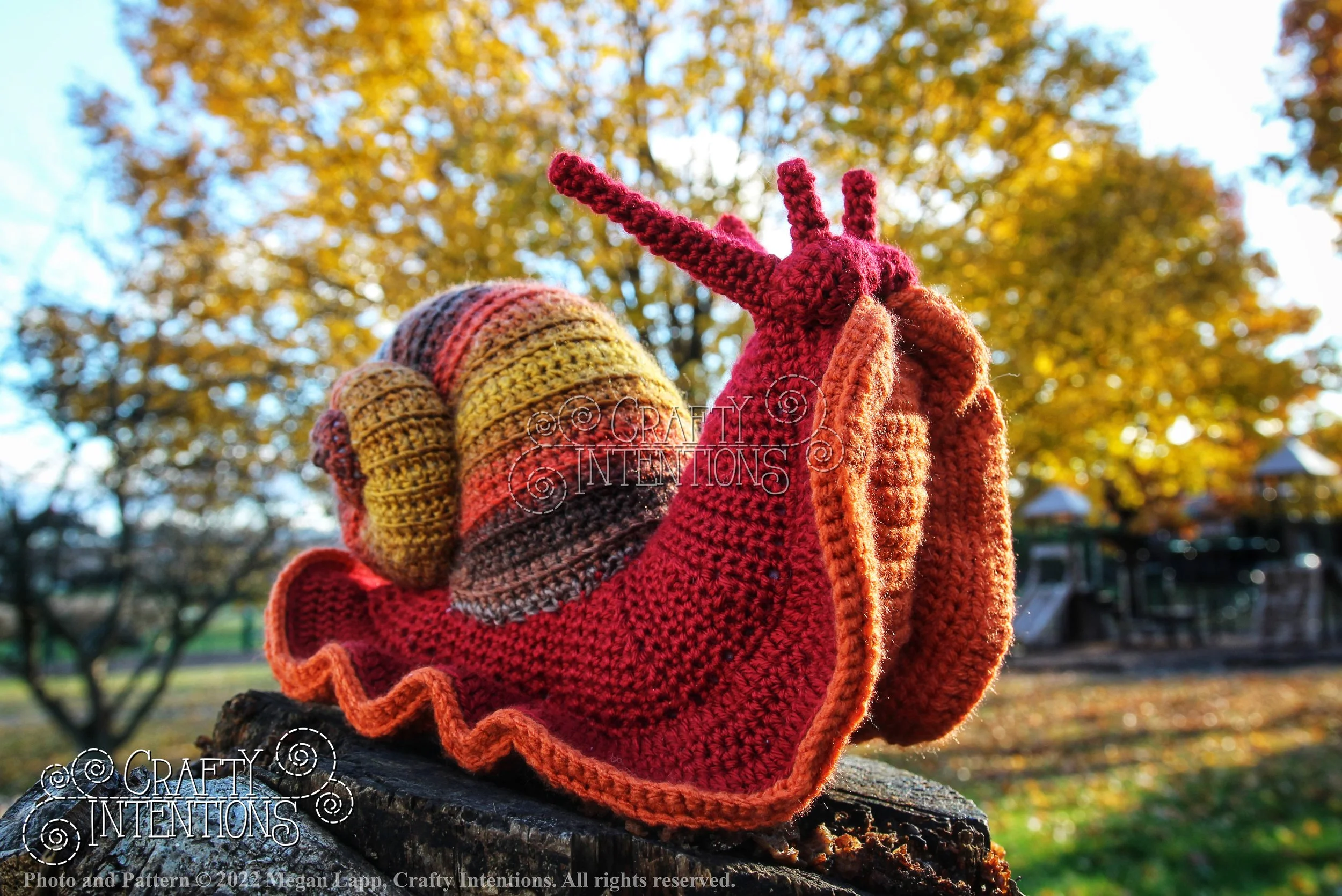 IMG_0164-01 with logo and copyright.jpg