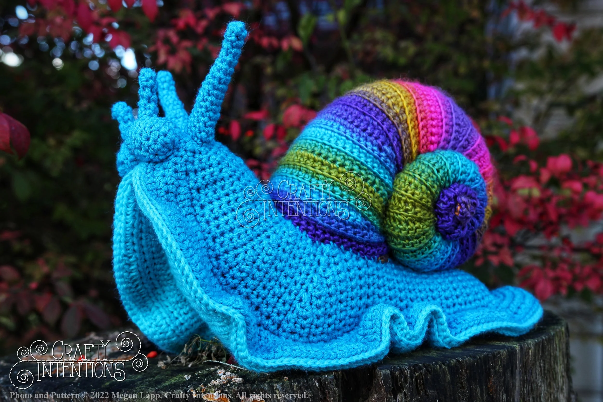 IMG_0175-01 with logo and copyright.jpg