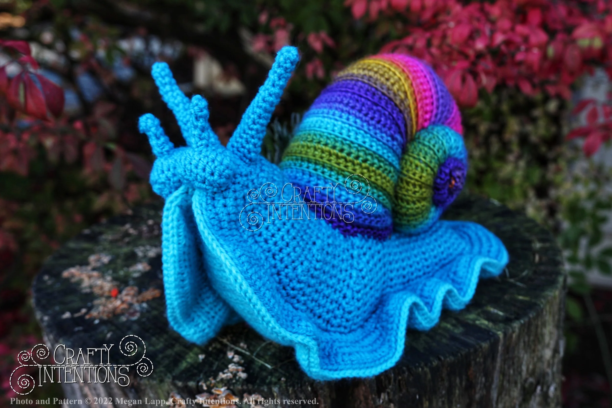 IMG_0181-01 with logo and copyright.jpg