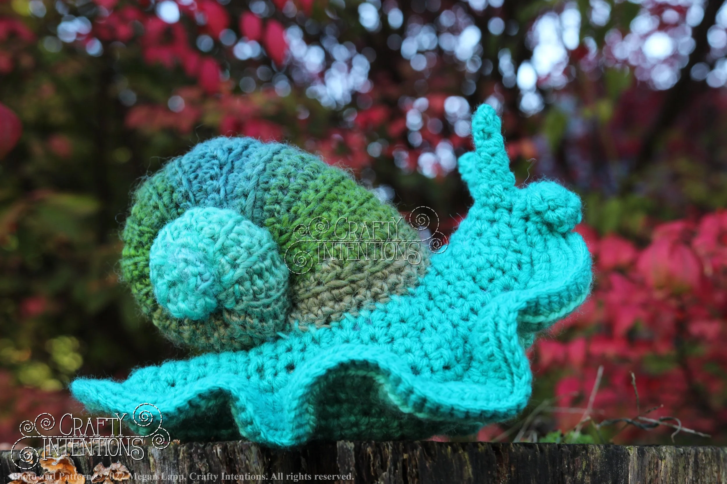 IMG_0215 with logo and copyright.jpg