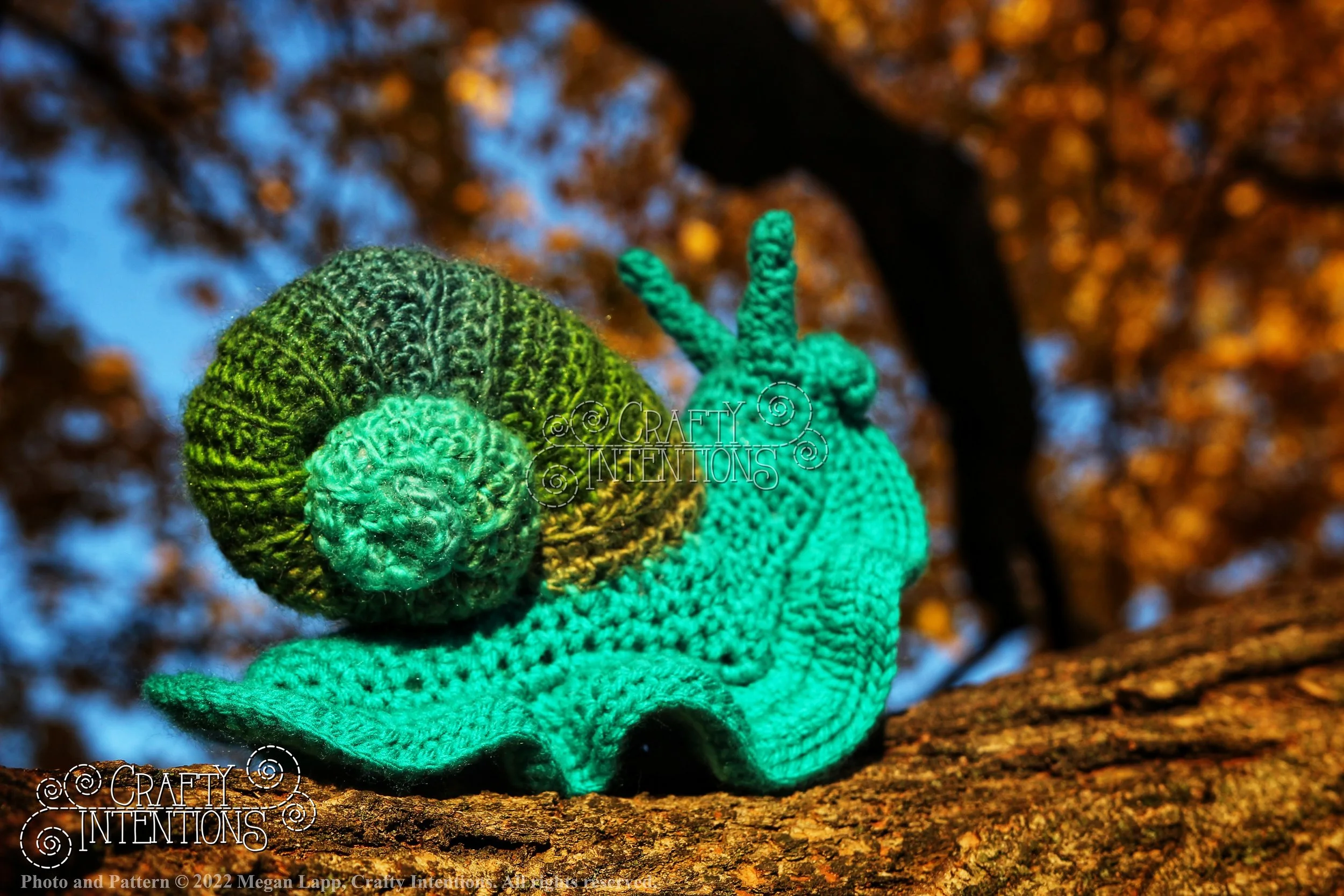 IMG_0248-01 with logo and copyright.jpg