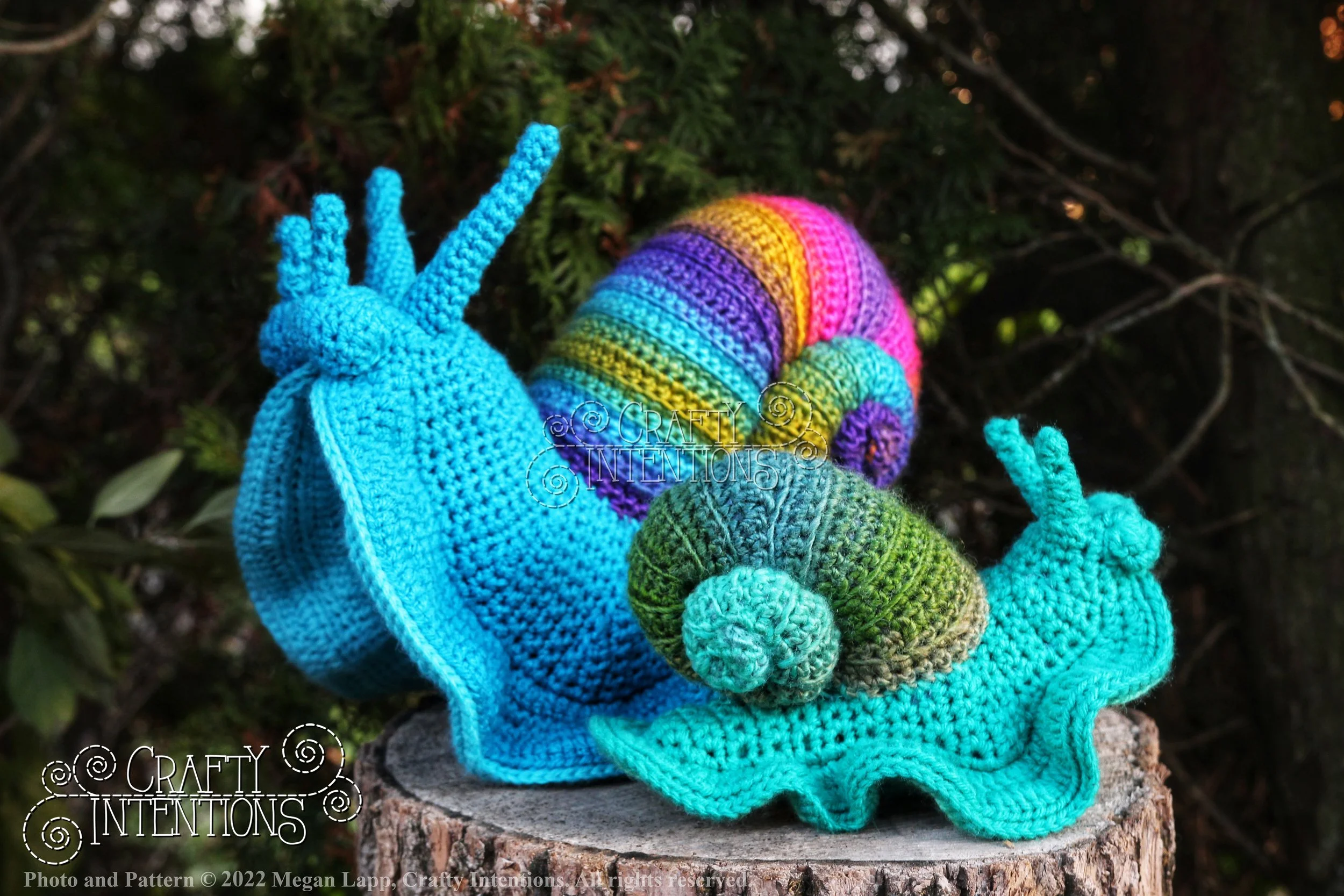 IMG_0300-02 with logo and copyright.jpg